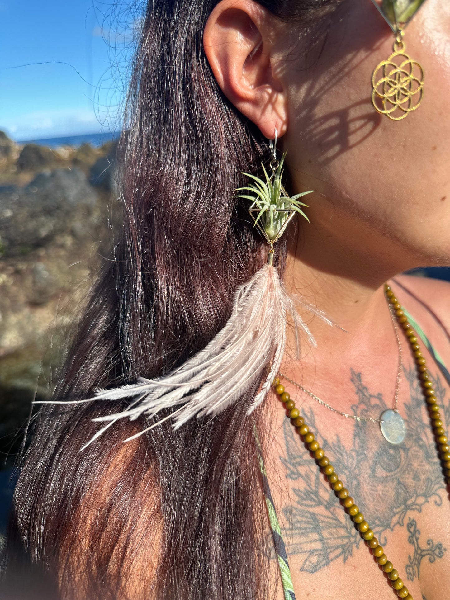Flying Feather Air Plant Earrings ~ Diamond Octahedron Earrings