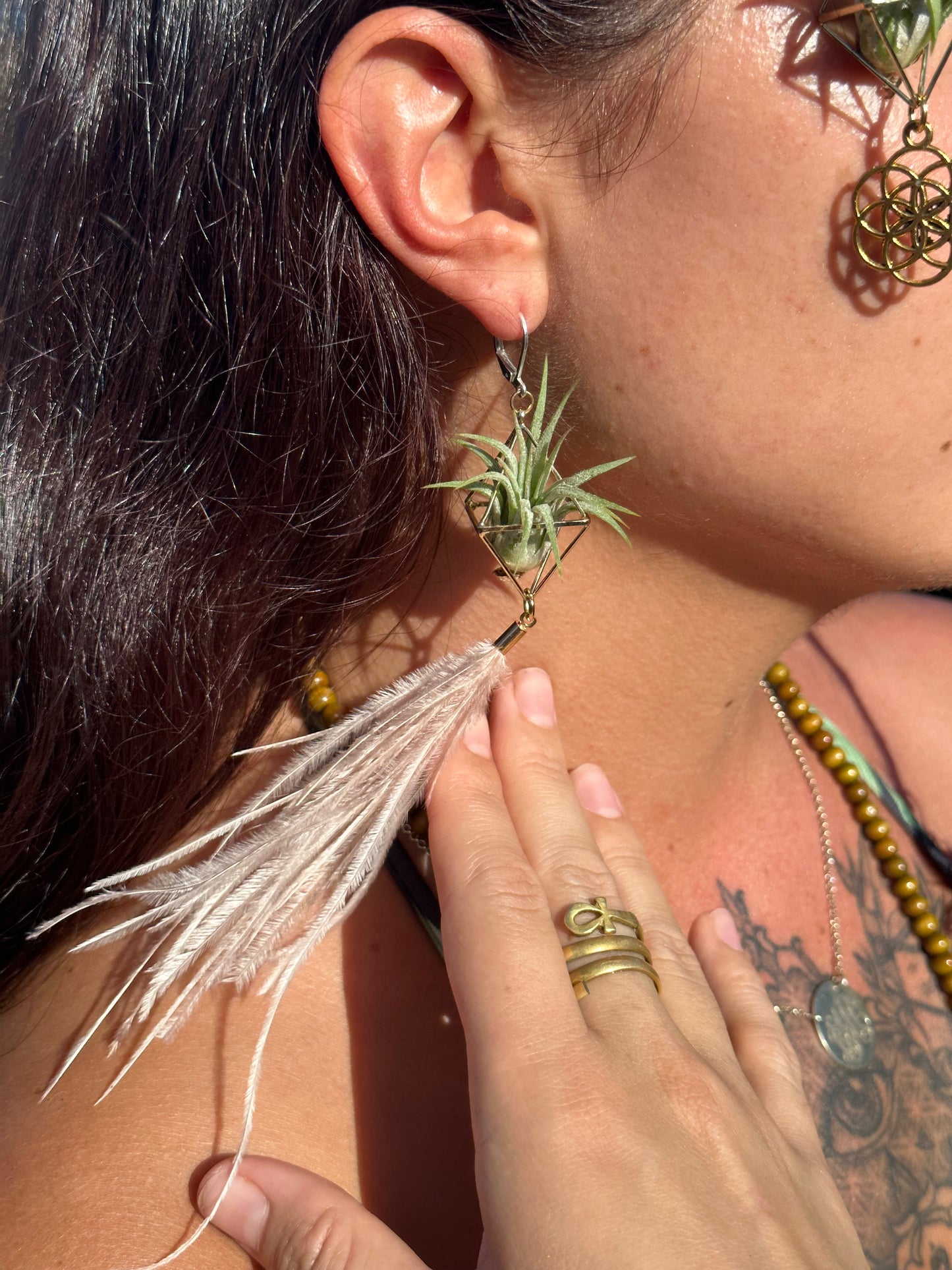 Flying Feather Air Plant Earrings ~ Diamond Octahedron Earrings