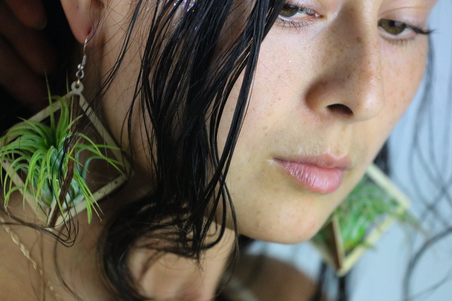 Lasercut Wooden Octahedron Air Plant Earrings ~ Japanese Tsugite Technique