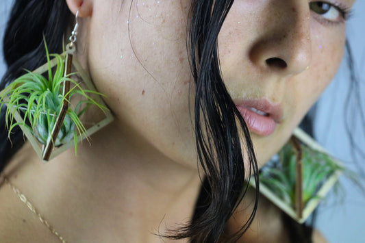 Lasercut Wooden Octahedron Air Plant Earrings ~ Japanese Tsugite Technique