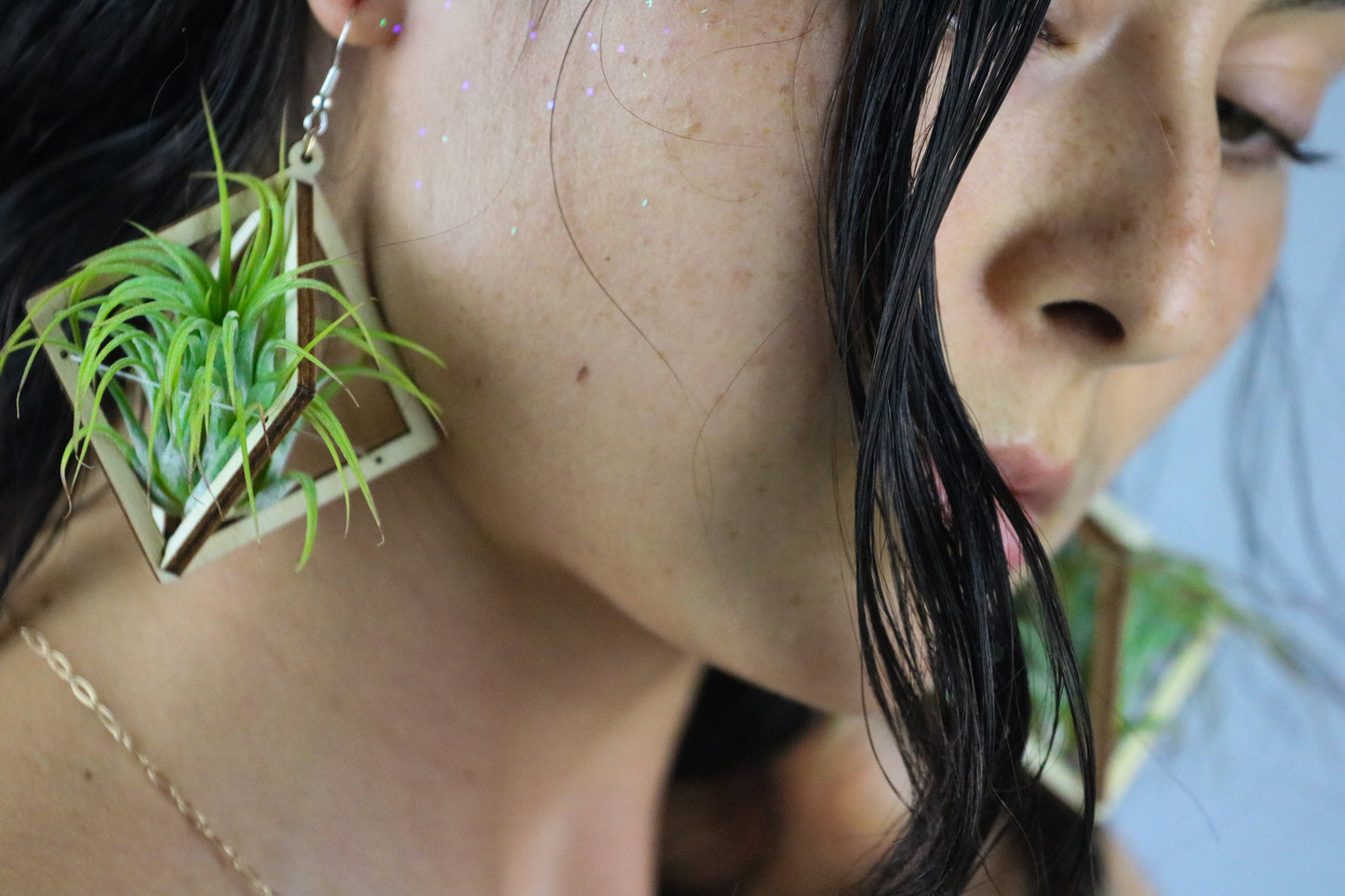 Lasercut Wooden Octahedron Air Plant Earrings ~ Japanese Tsugite Technique