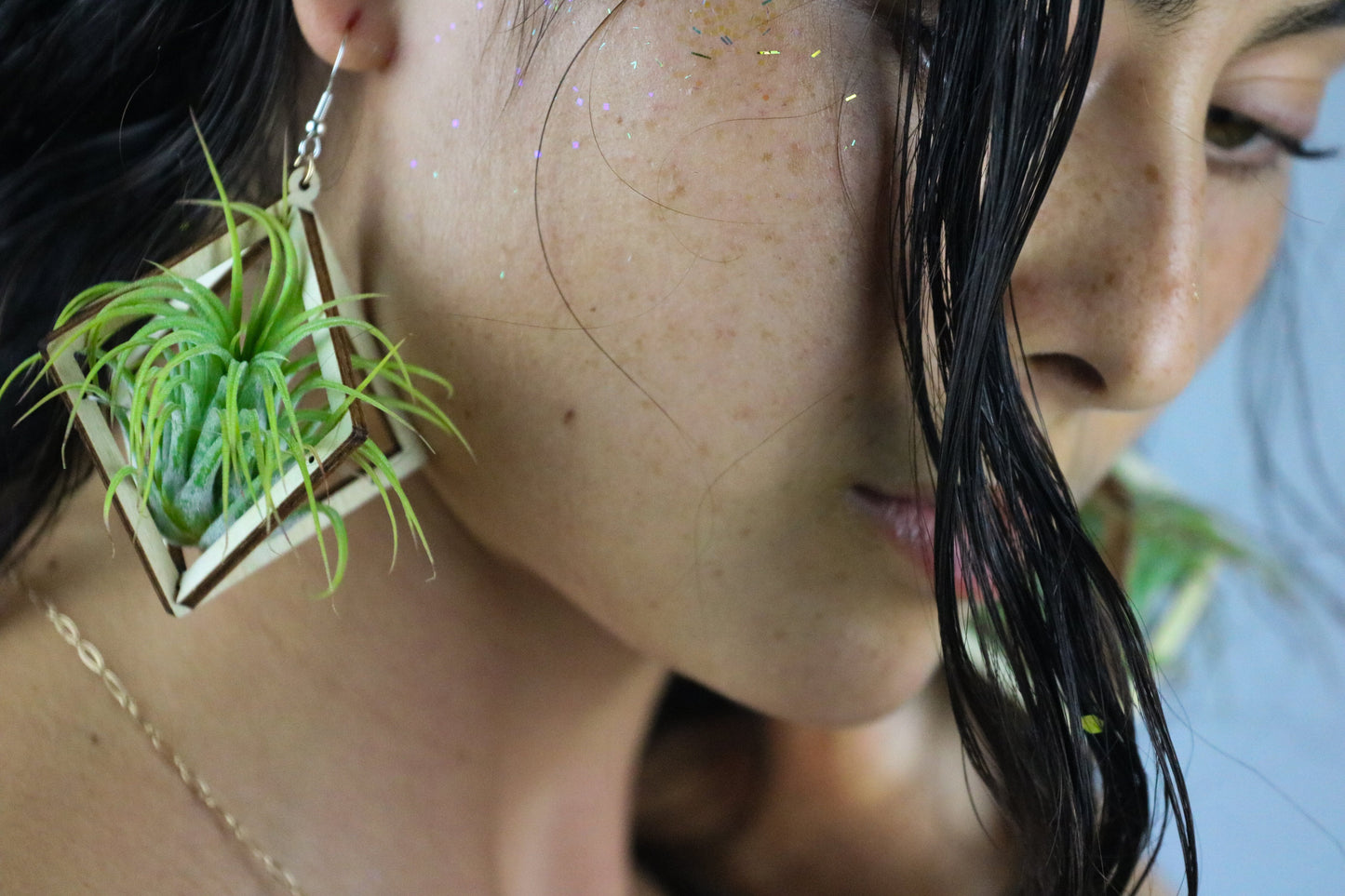 Lasercut Wooden Octahedron Air Plant Earrings ~ Japanese Tsugite Technique