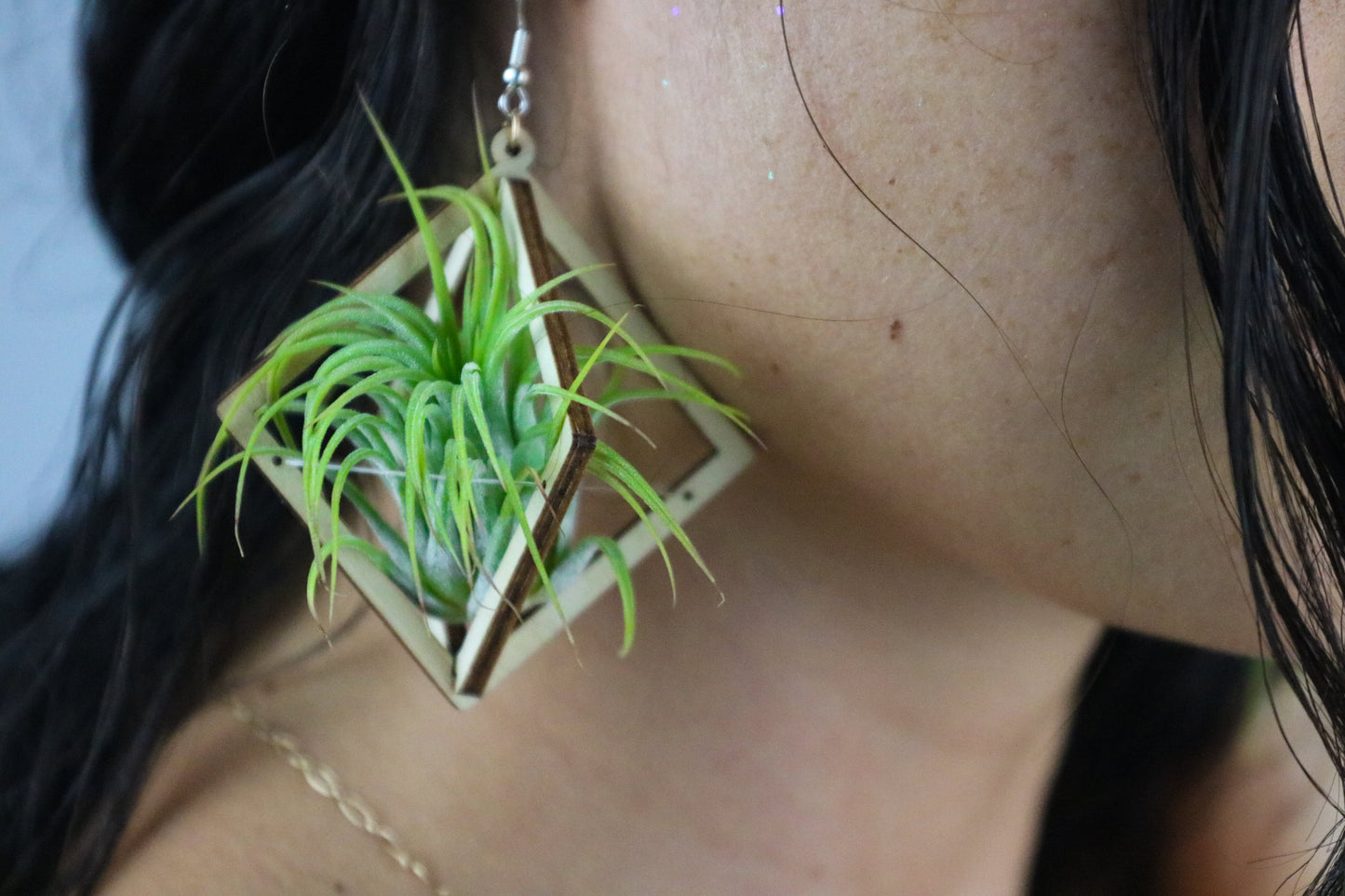 Lasercut Wooden Octahedron Air Plant Earrings ~ Japanese Tsugite Technique