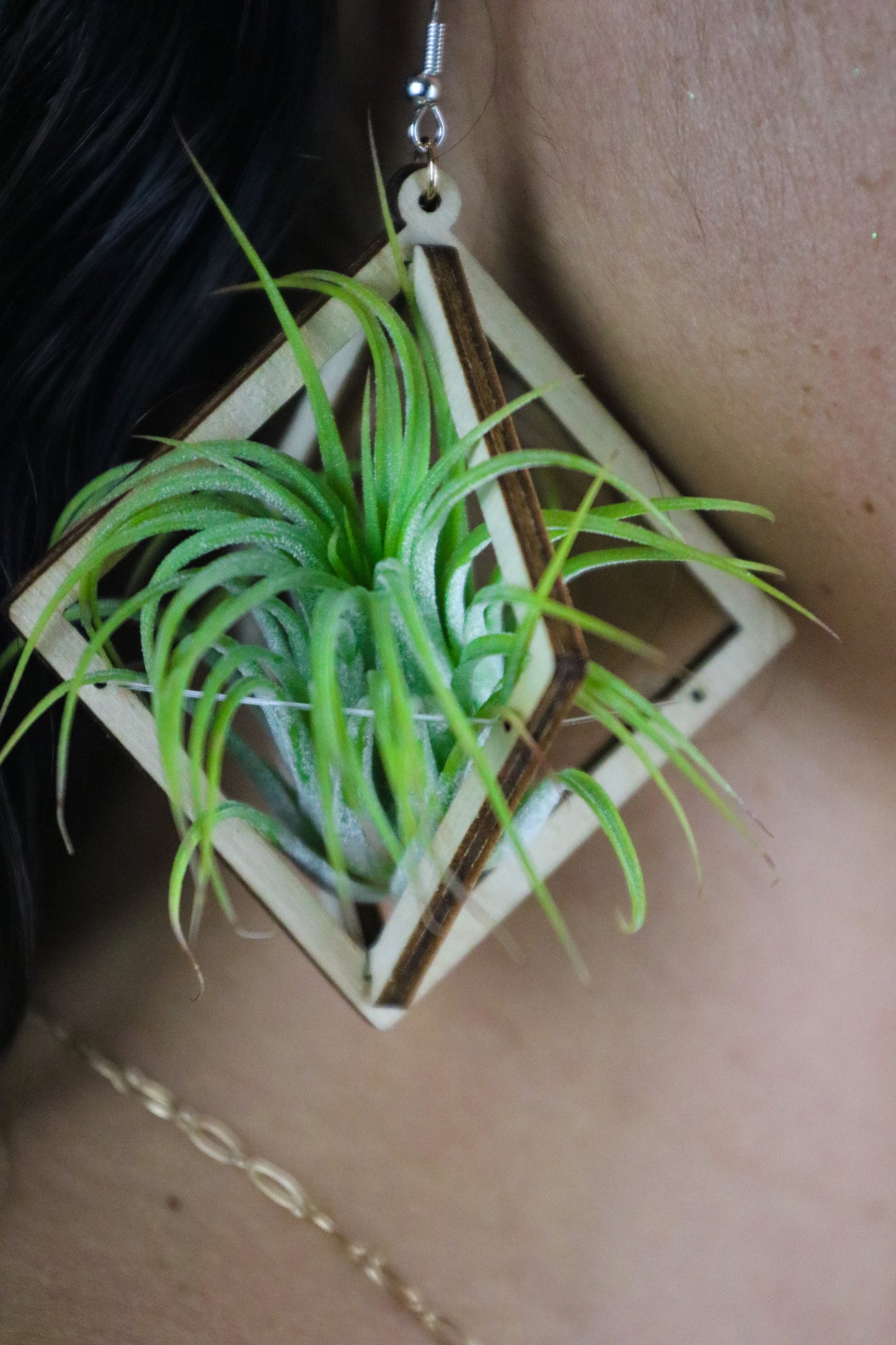 Lasercut Wooden Octahedron Air Plant Earrings ~ Japanese Tsugite Technique