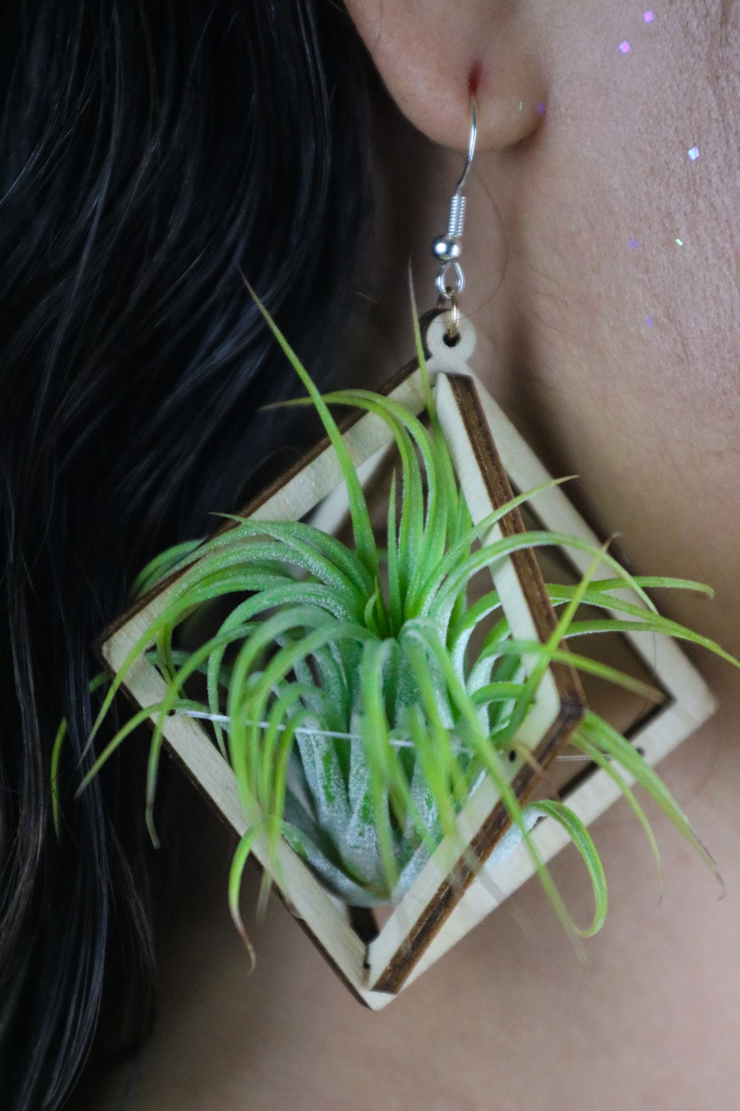 Lasercut Wooden Octahedron Air Plant Earrings ~ Japanese Tsugite Technique