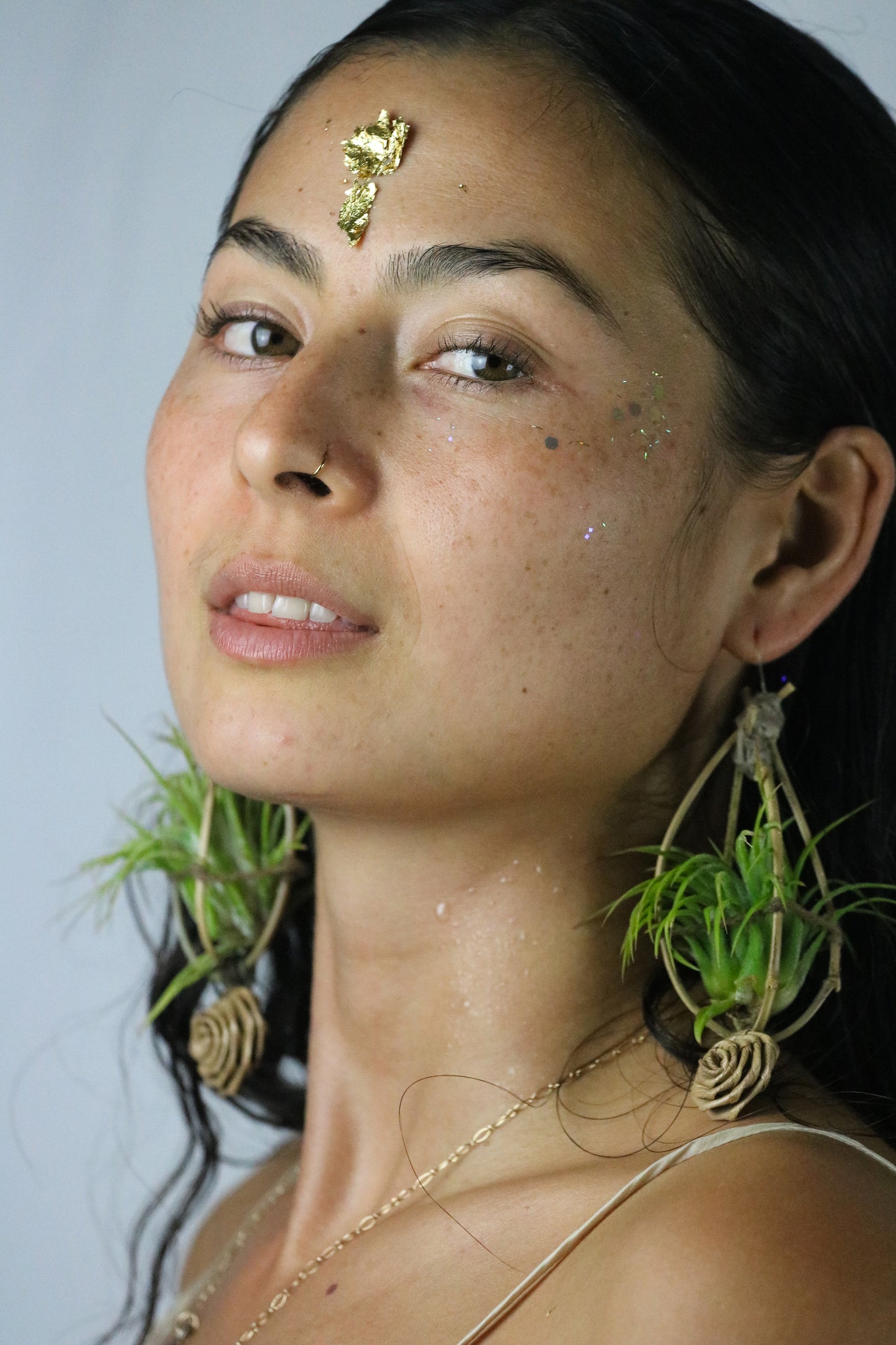 Bamboo Air Plant Orb Earrings
