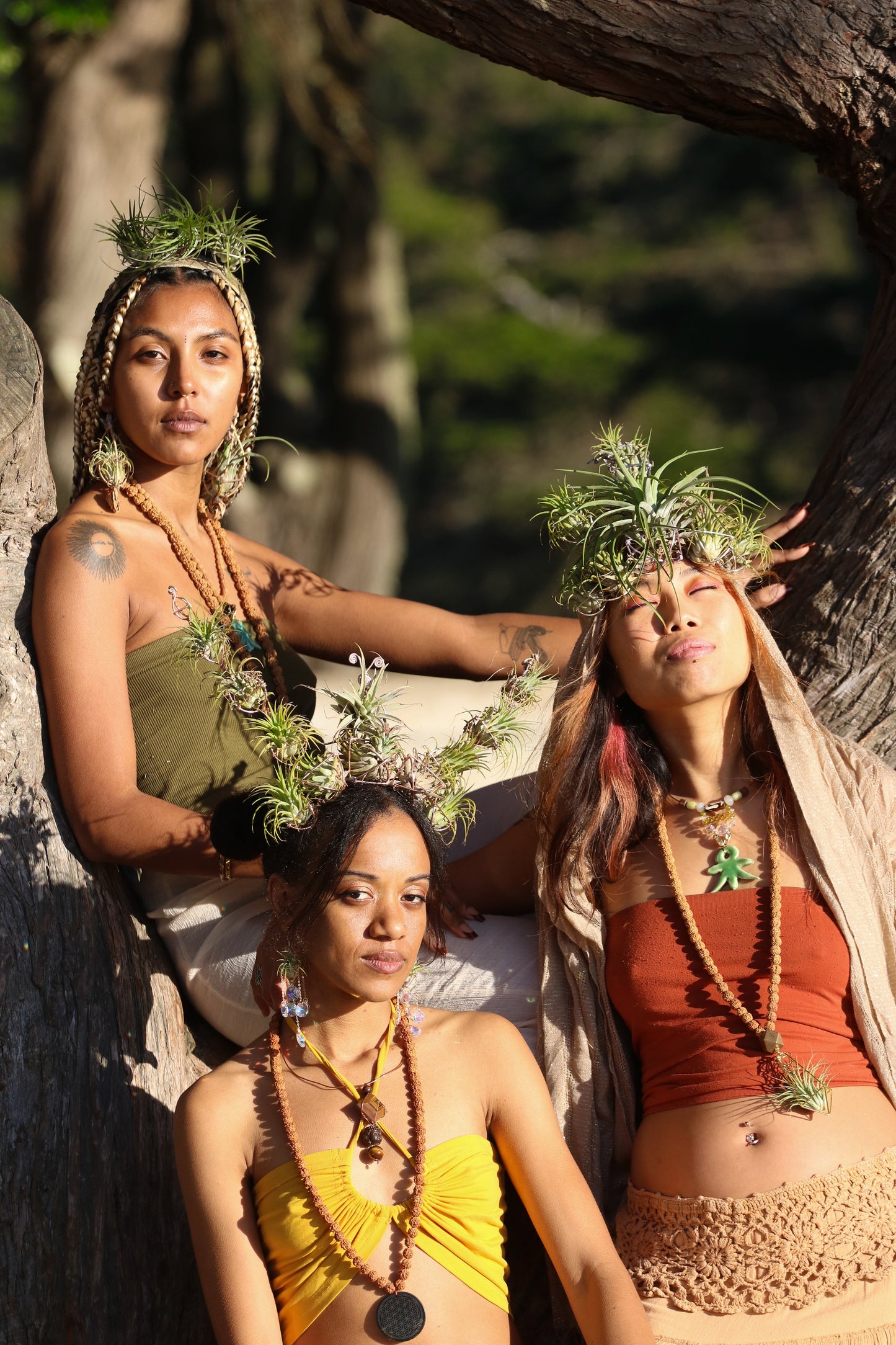 Air Plant Crown, Alien Air-lien Plant Double Antenna Crown