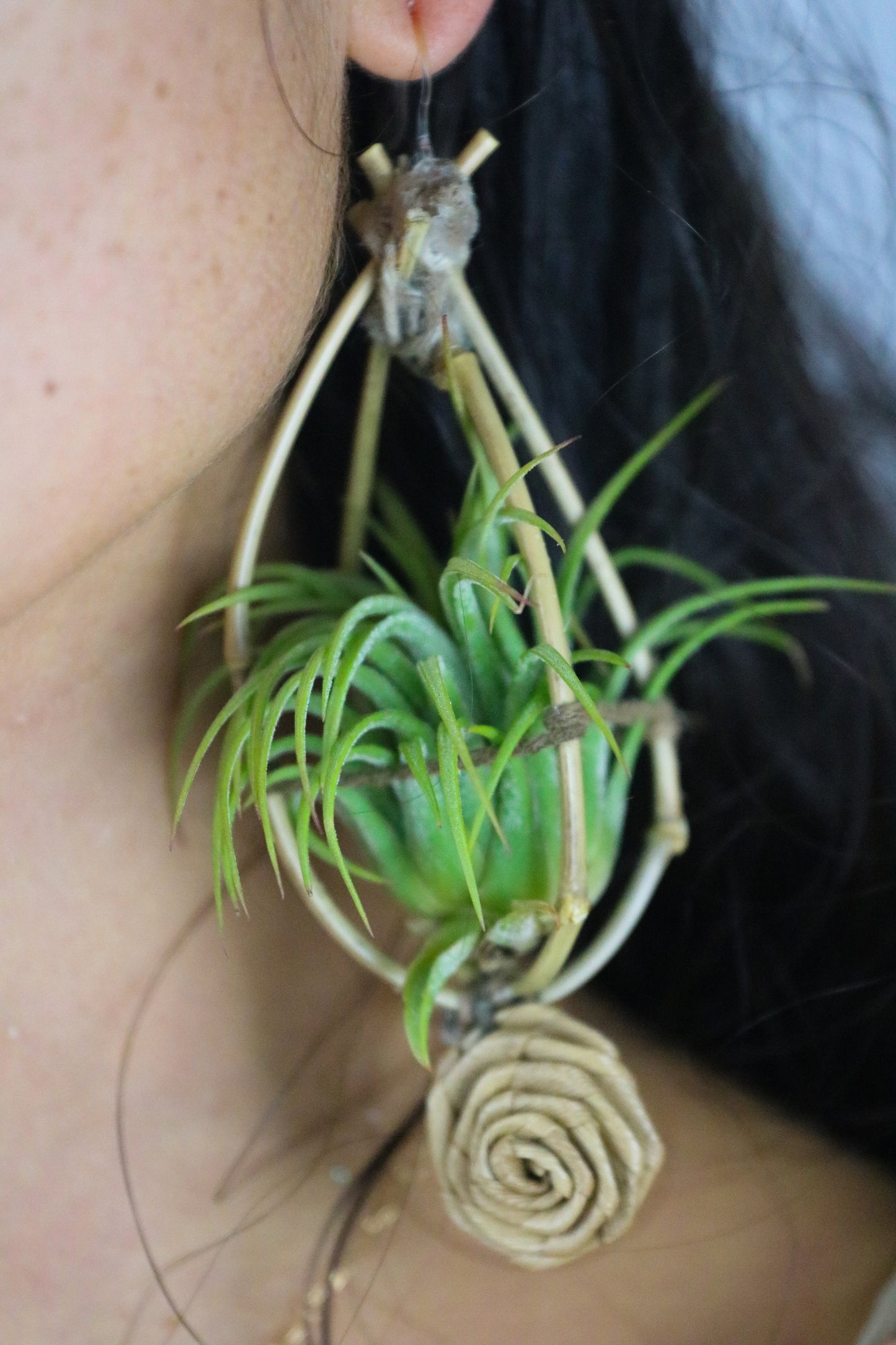 Bamboo Air Plant Orb Earrings