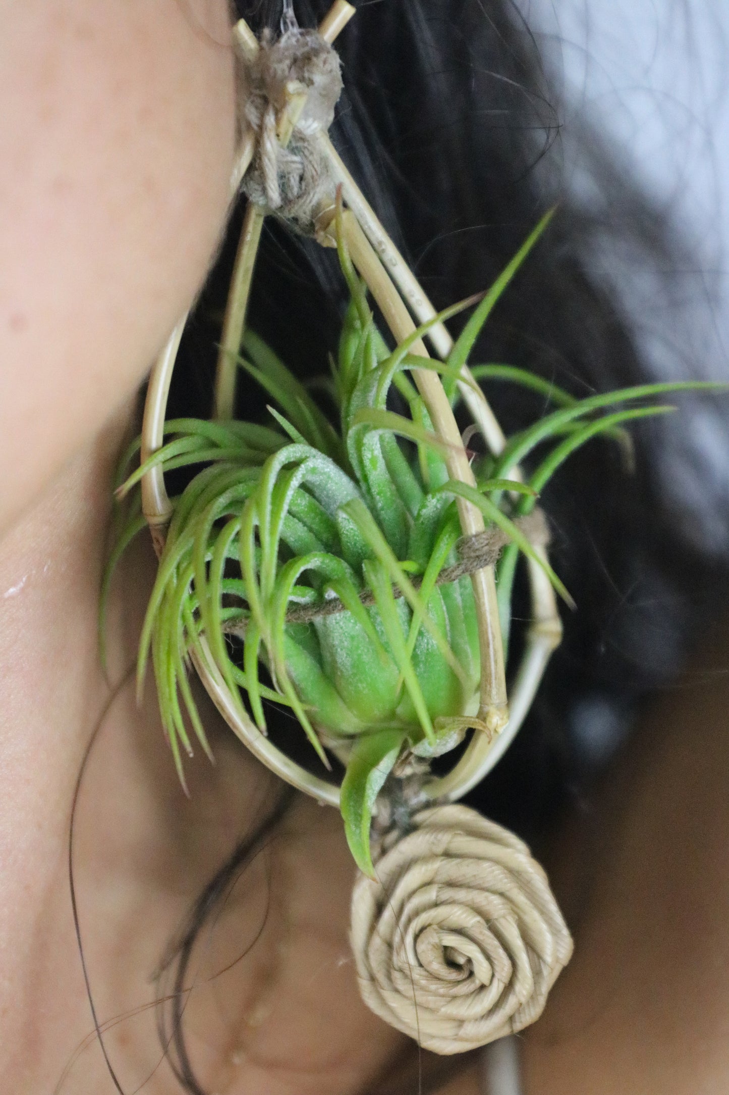 Bamboo Air Plant Orb Earrings