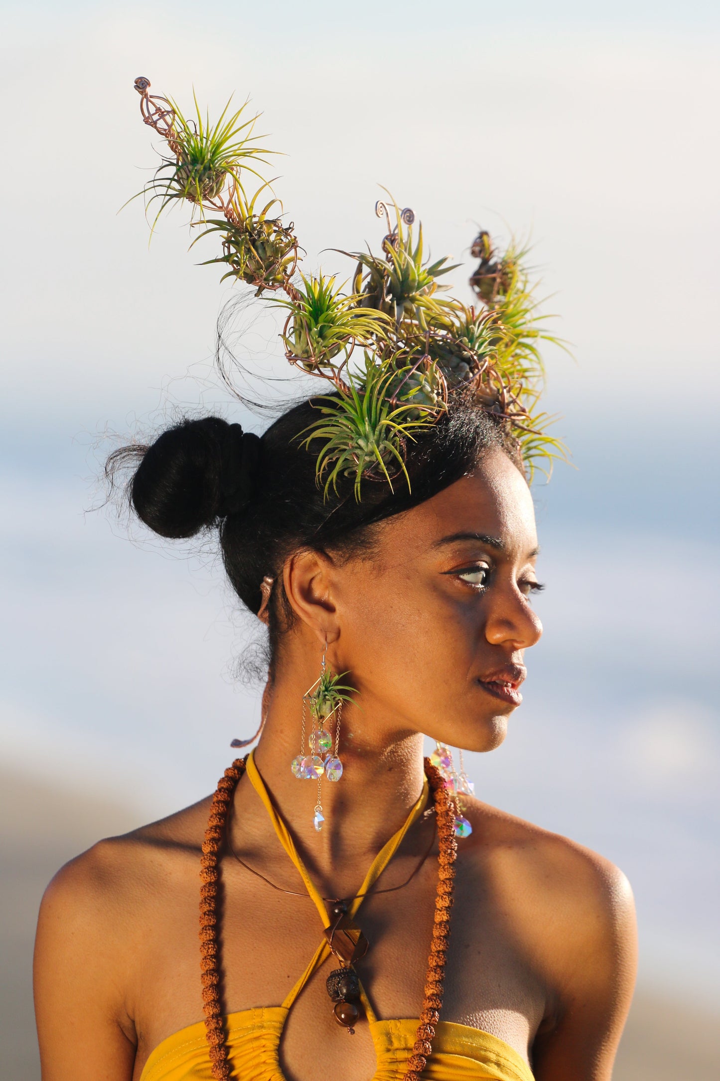 Air Plant Crown, Alien Air-lien Plant Double Antenna Crown