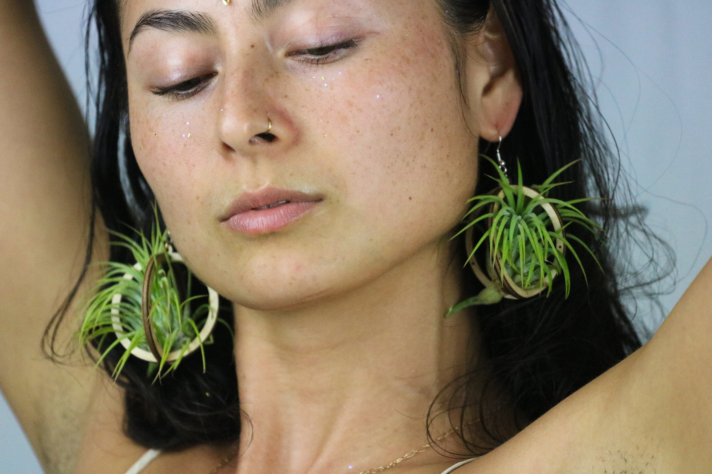 Lasercut Wooden Air Plant Orb Earrings ~ Japanese Tsugite Technique