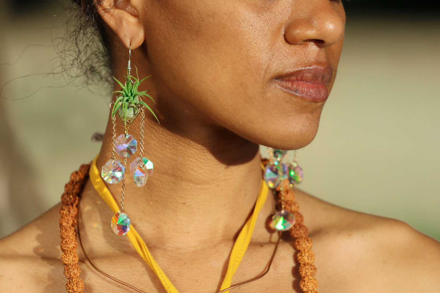 Sun Catcher Air Plant Chandelier Earrings