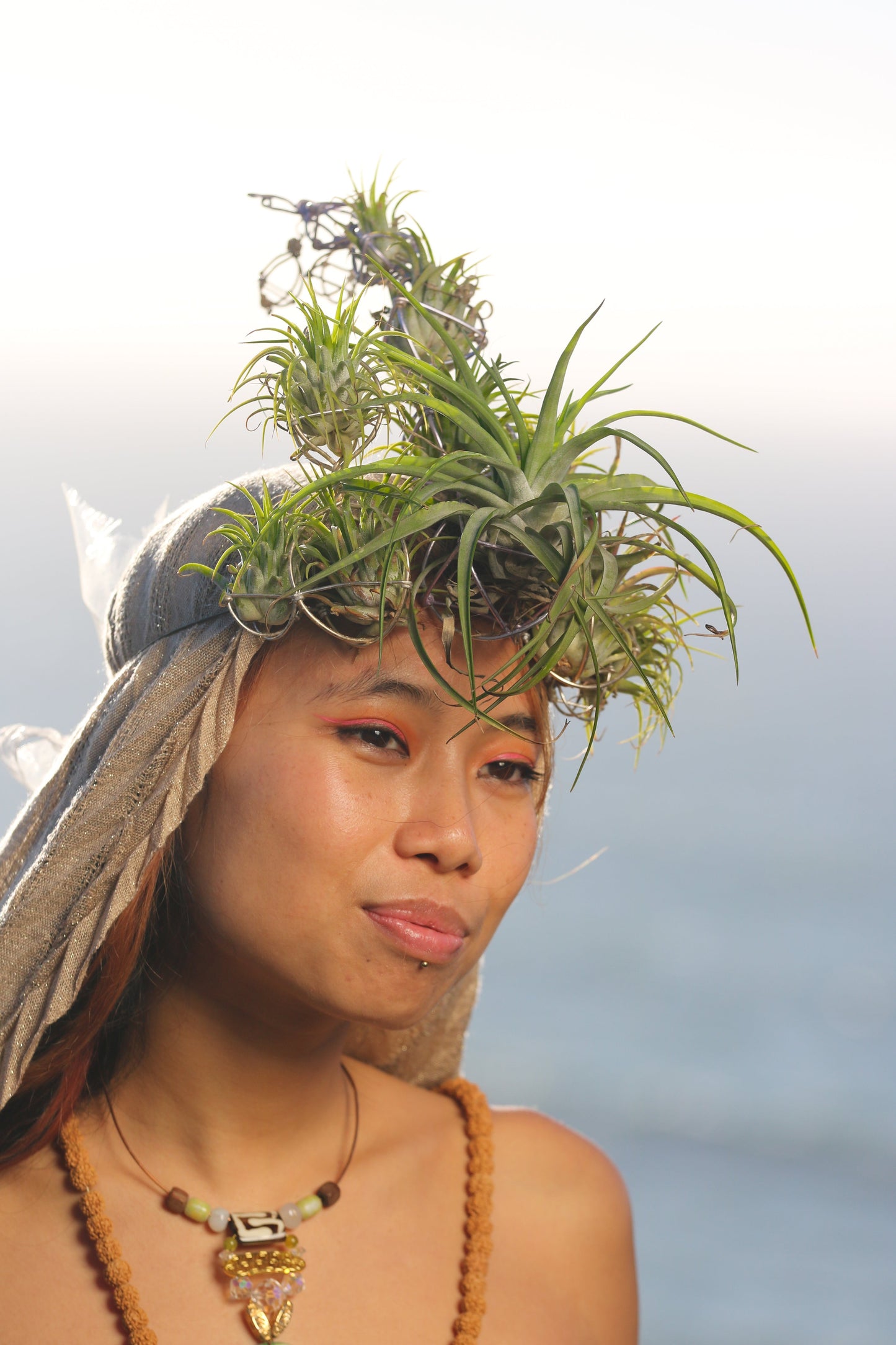 Airlien Plant Antenna Pagoda Crown