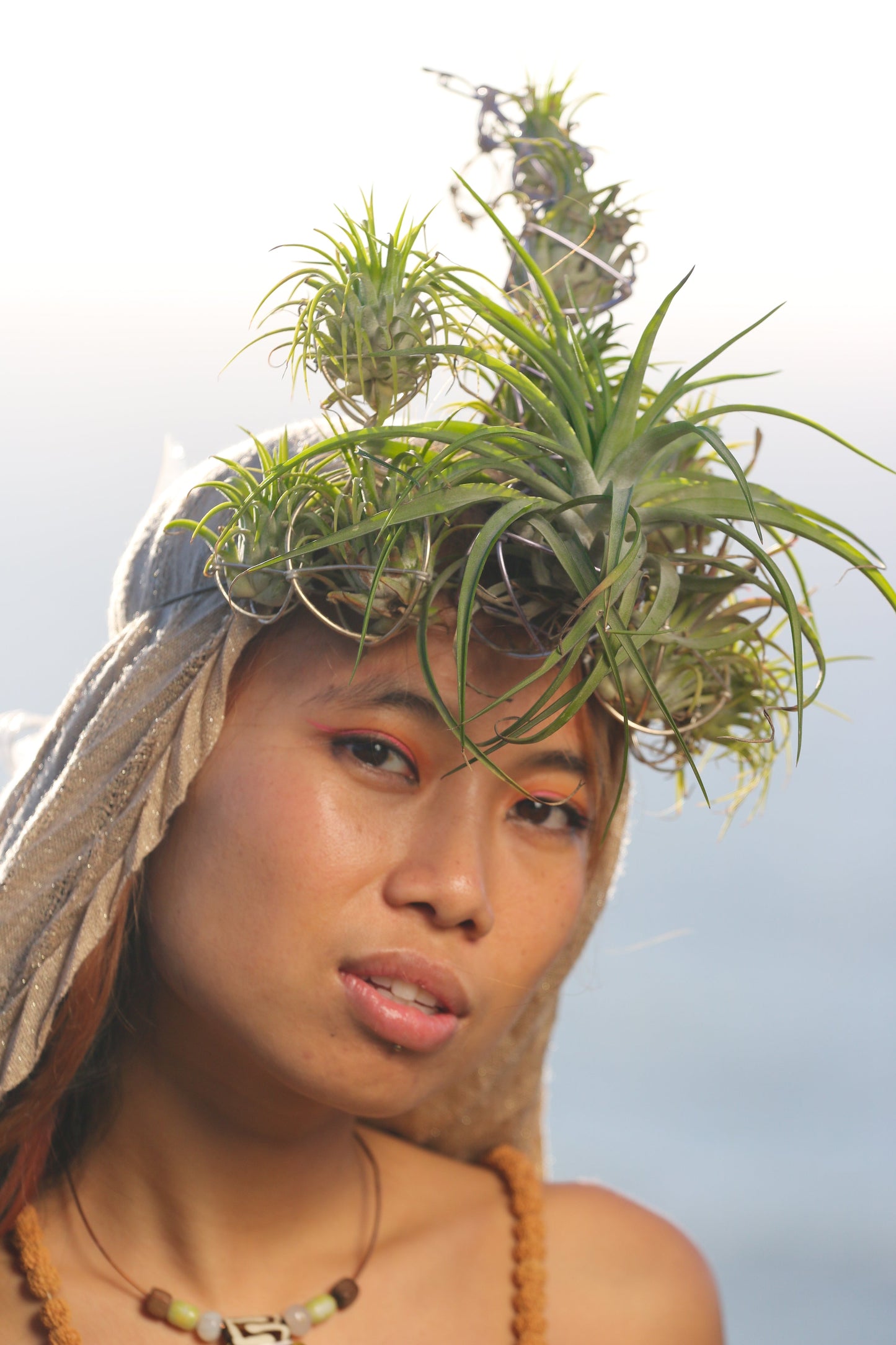 Airlien Plant Antenna Pagoda Crown