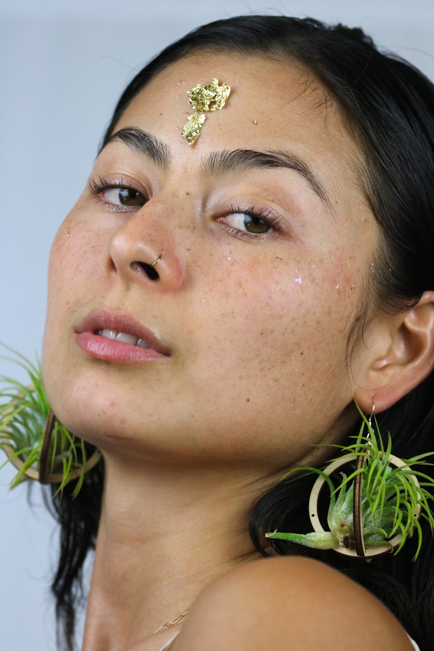 Lasercut Wooden Air Plant Orb Earrings ~ Japanese Tsugite Technique