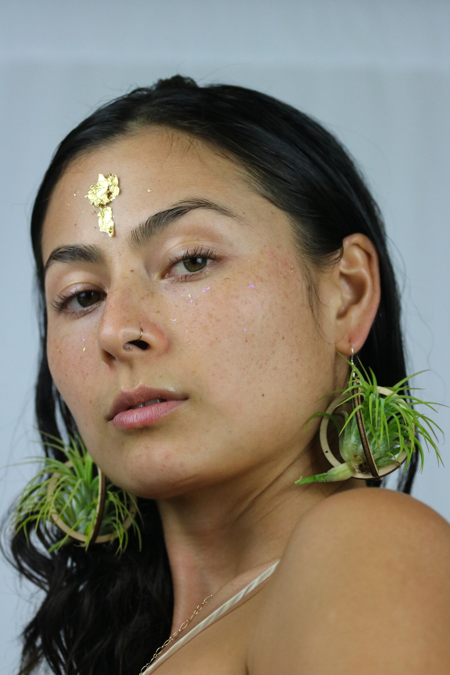 Lasercut Wooden Air Plant Orb Earrings ~ Japanese Tsugite Technique