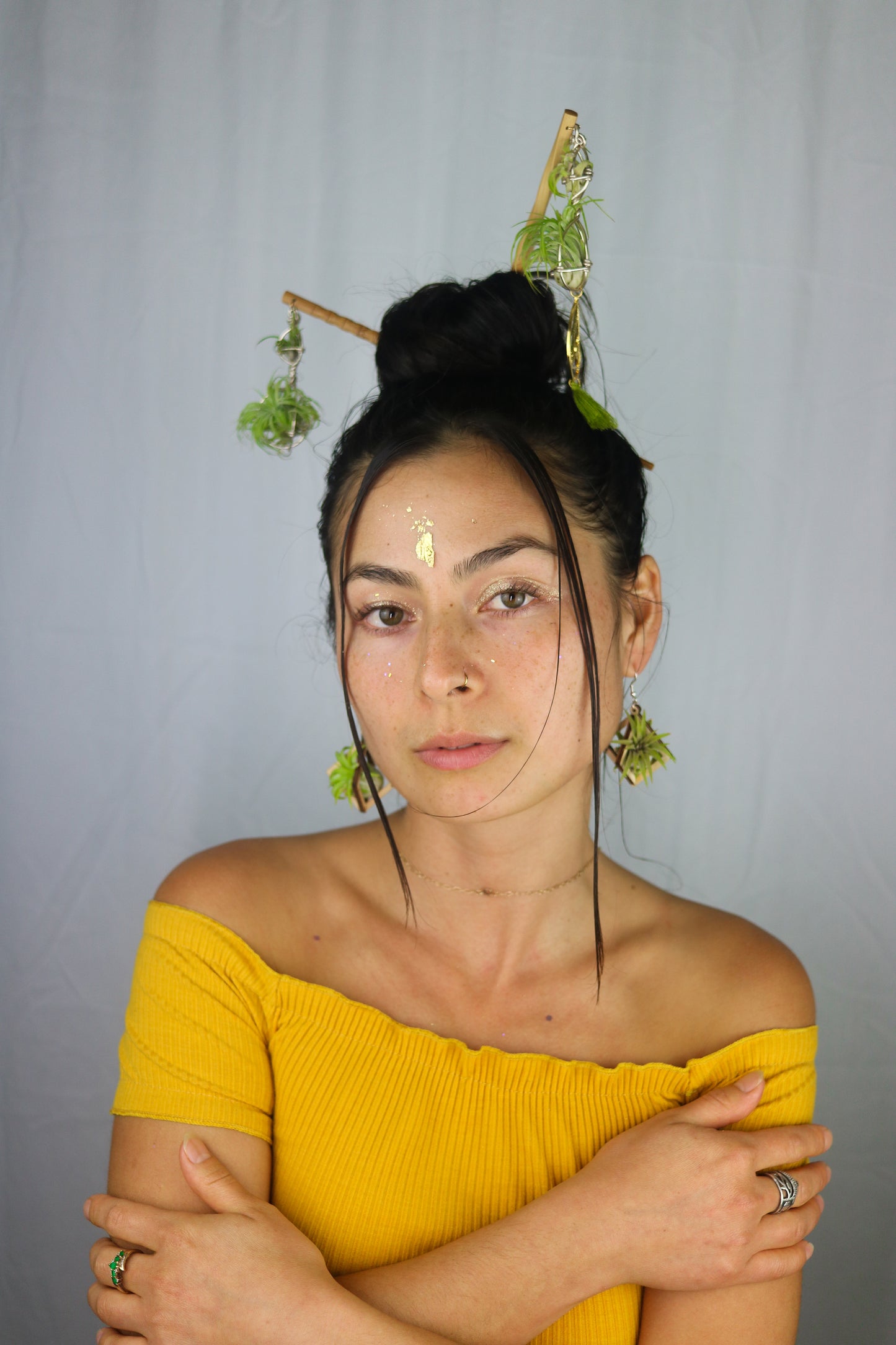 Air Plant Hair Sticks ~ Chopsticks for Hair