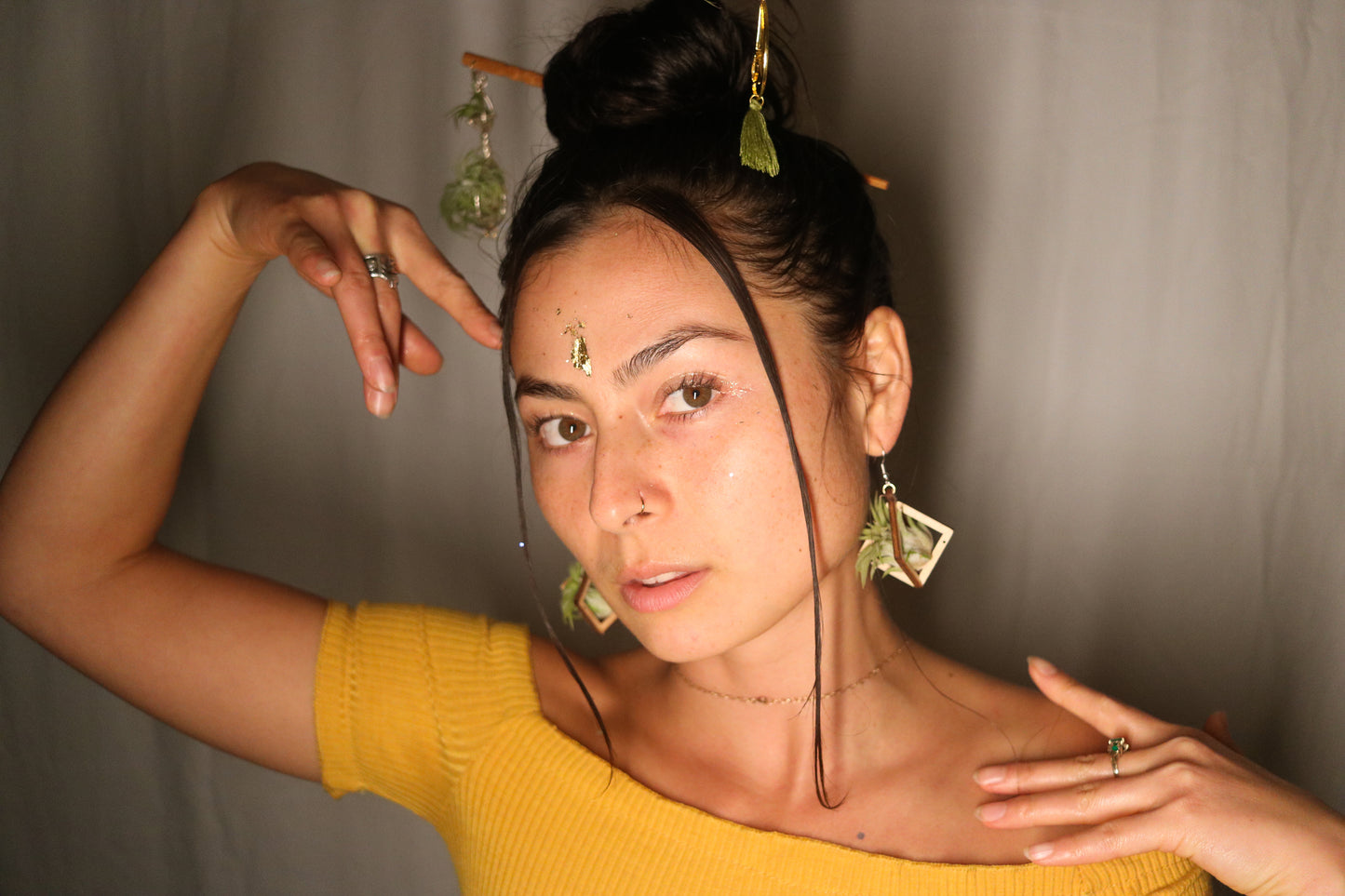 Air Plant Hair Sticks ~ Chopsticks for Hair