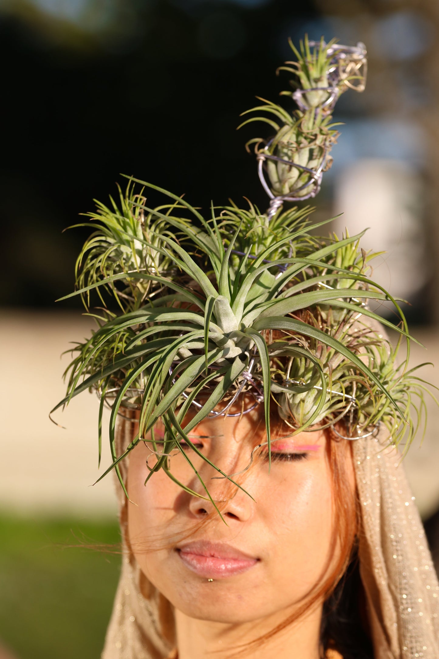 Airlien Plant Antenna Pagoda Crown