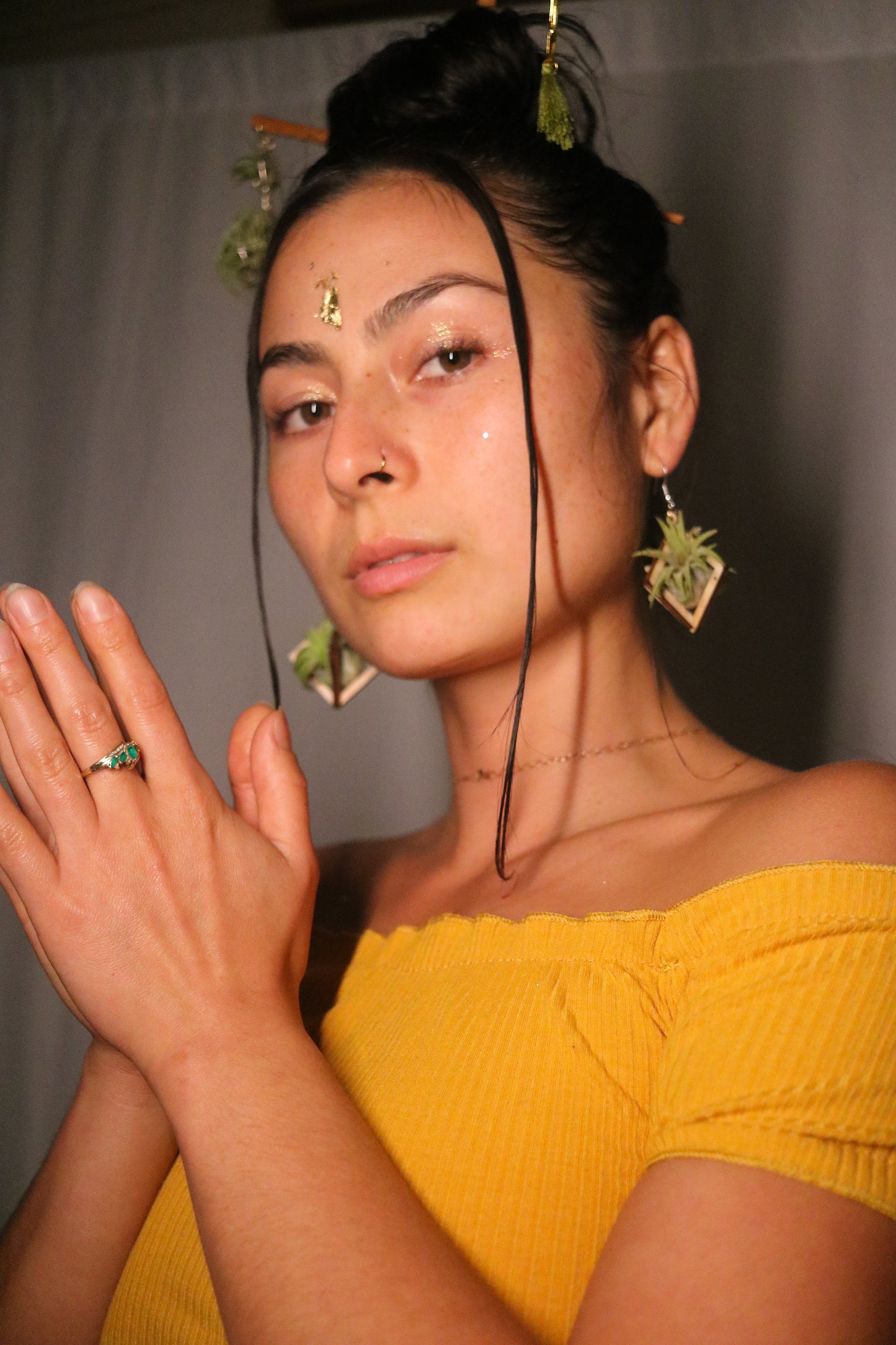 Air Plant Hair Sticks ~ Chopsticks for Hair