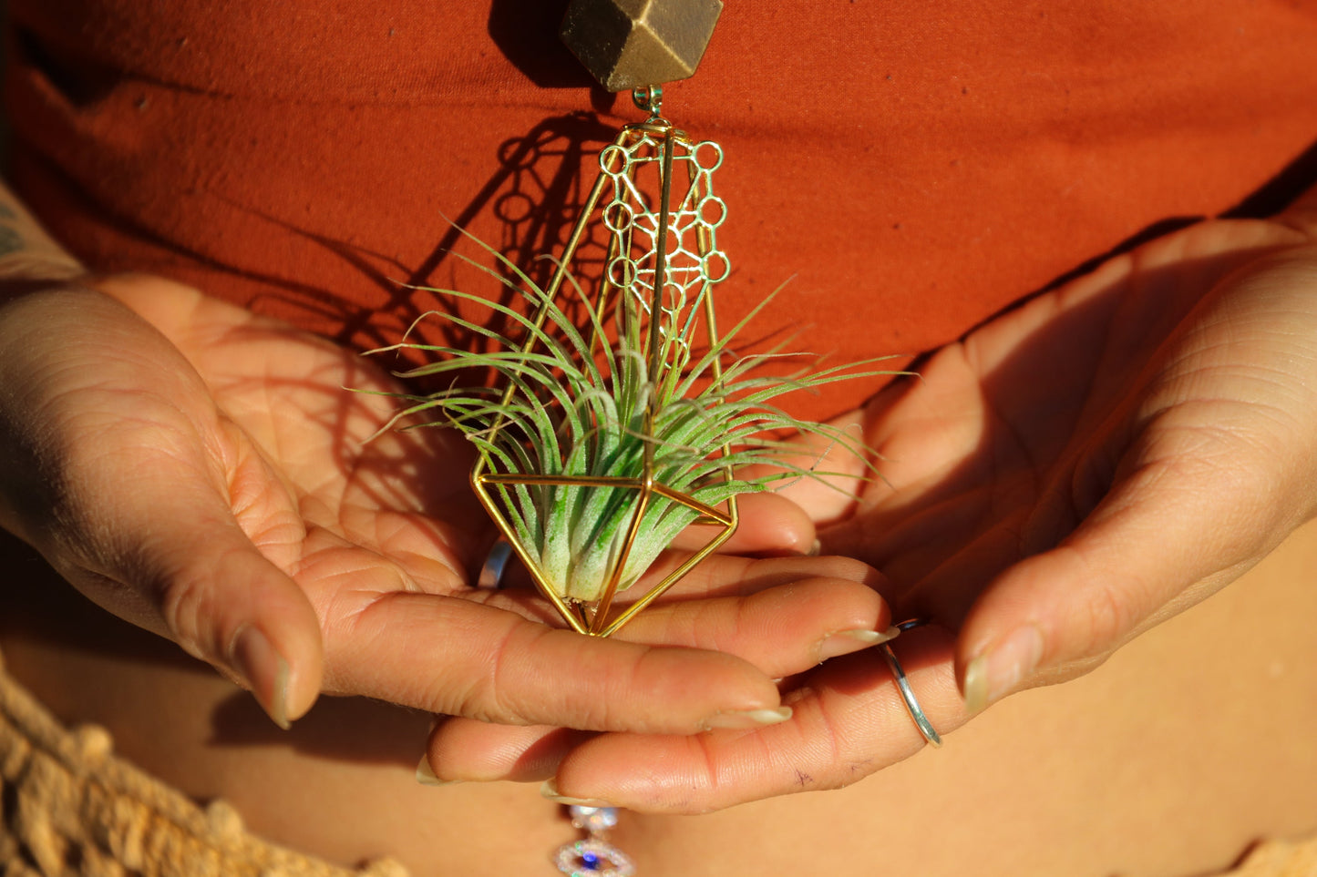 Air Plant Terrarium Sandalwood Bead Necklace ~ Buddha Monk Prayer Beads