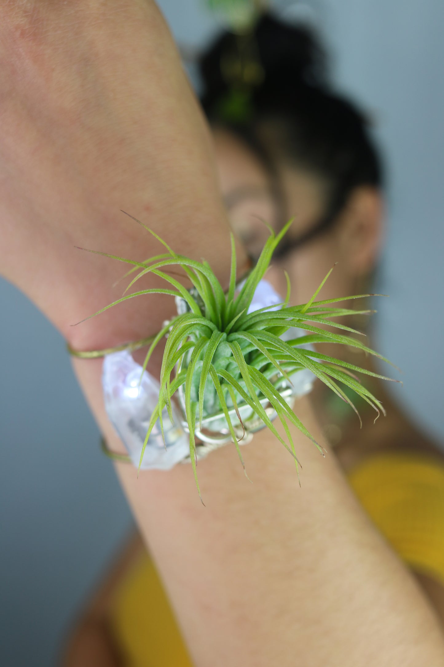 Air Plant Cuff Bracelet ~ Corsage Terrarium ~Anklet + Crystal Pyramid