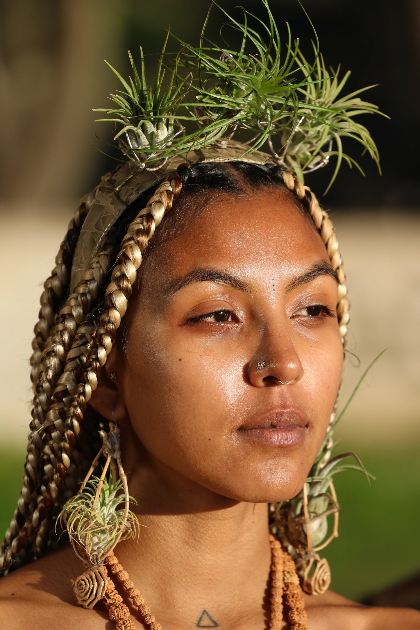 Air Plant Goddess Crown Wreath Headdress