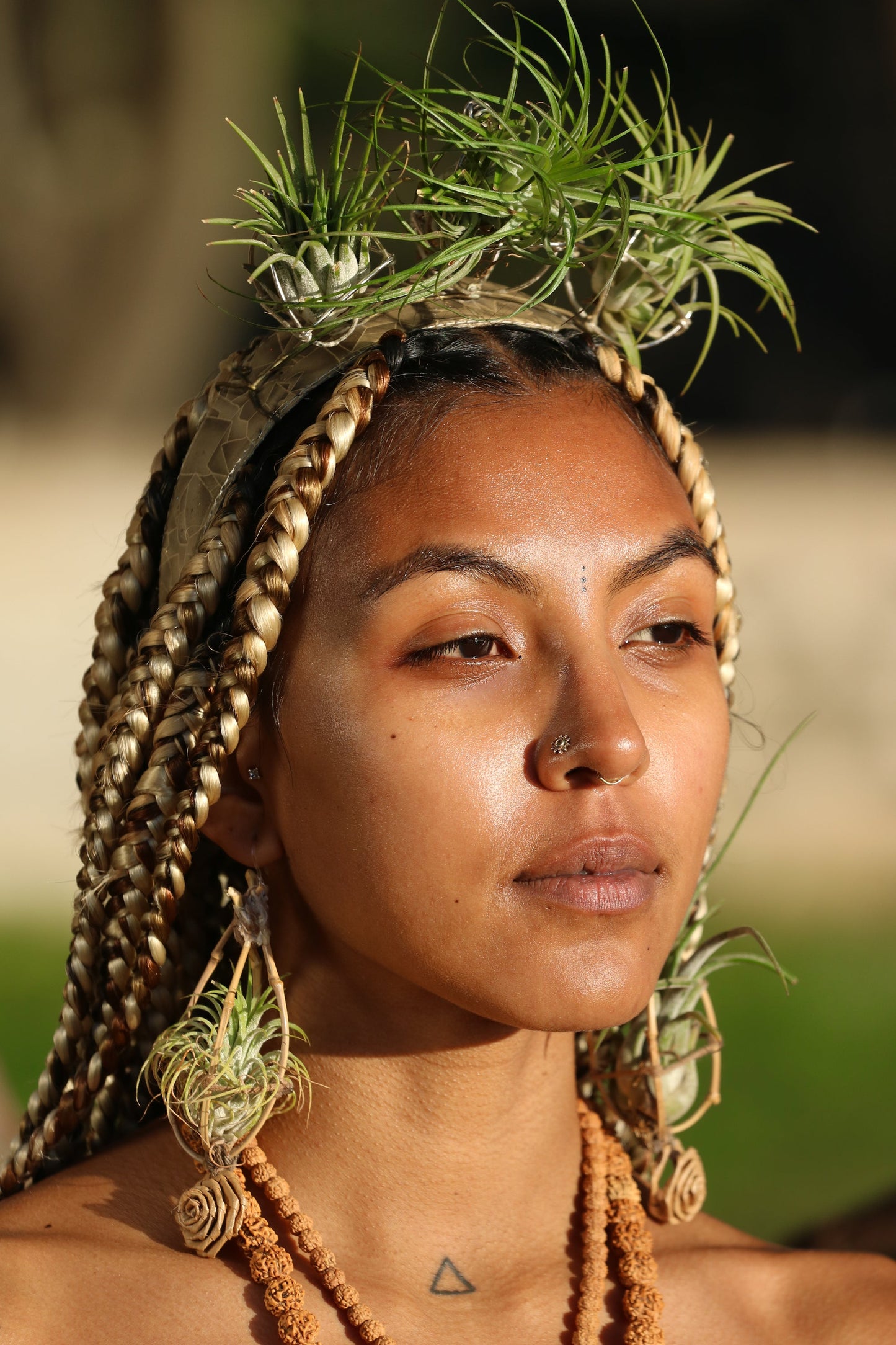 Air Plant Goddess Crown Wreath Headdress