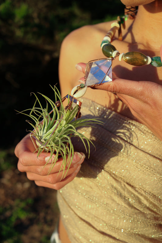Air Plant Crystal Pyramid Terrarium Necklace (3 Types: Rose Quartz, Clear Quartz, Lapis Lazuli Pyramids))