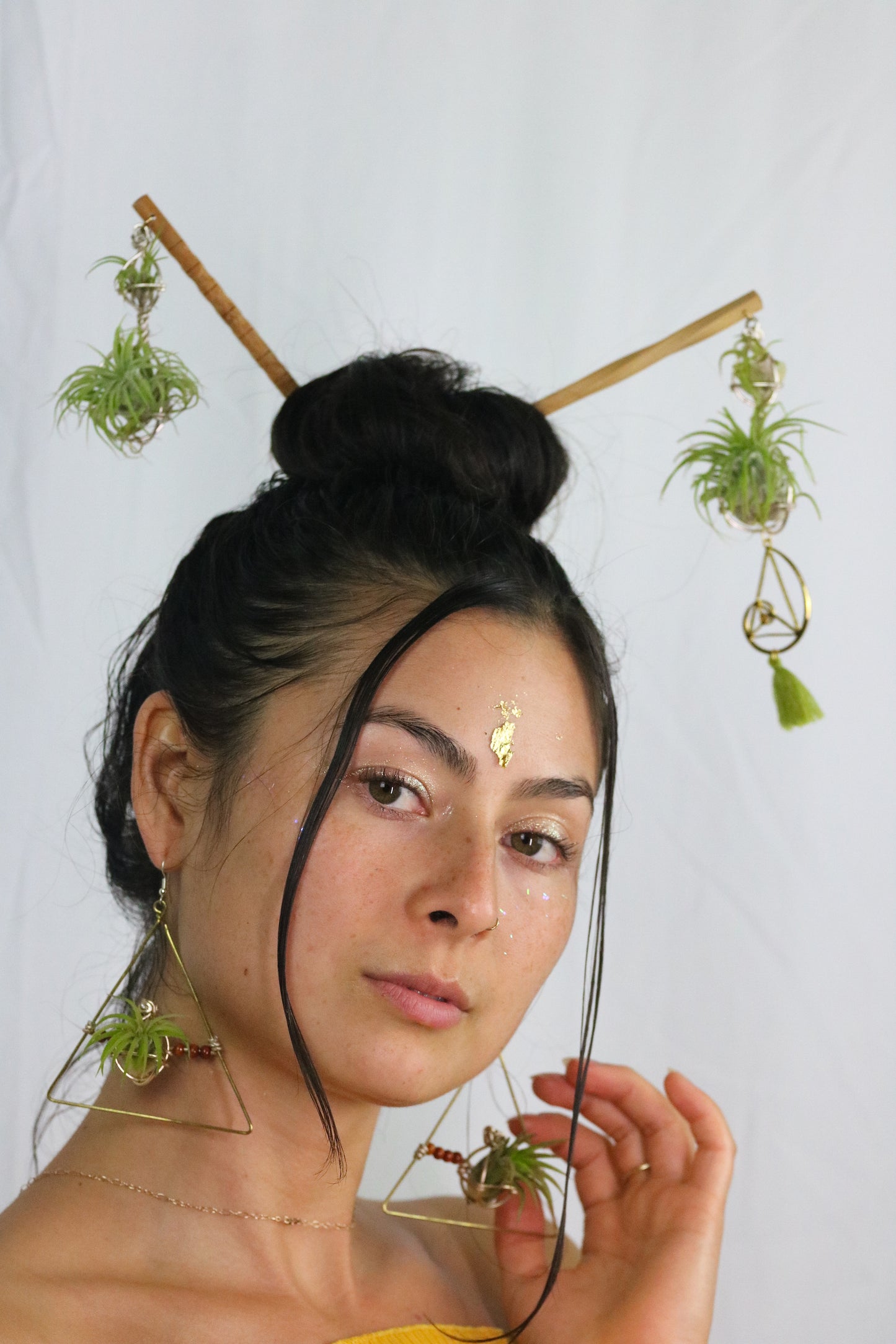 Air Plant Hair Sticks ~ Chopsticks for Hair