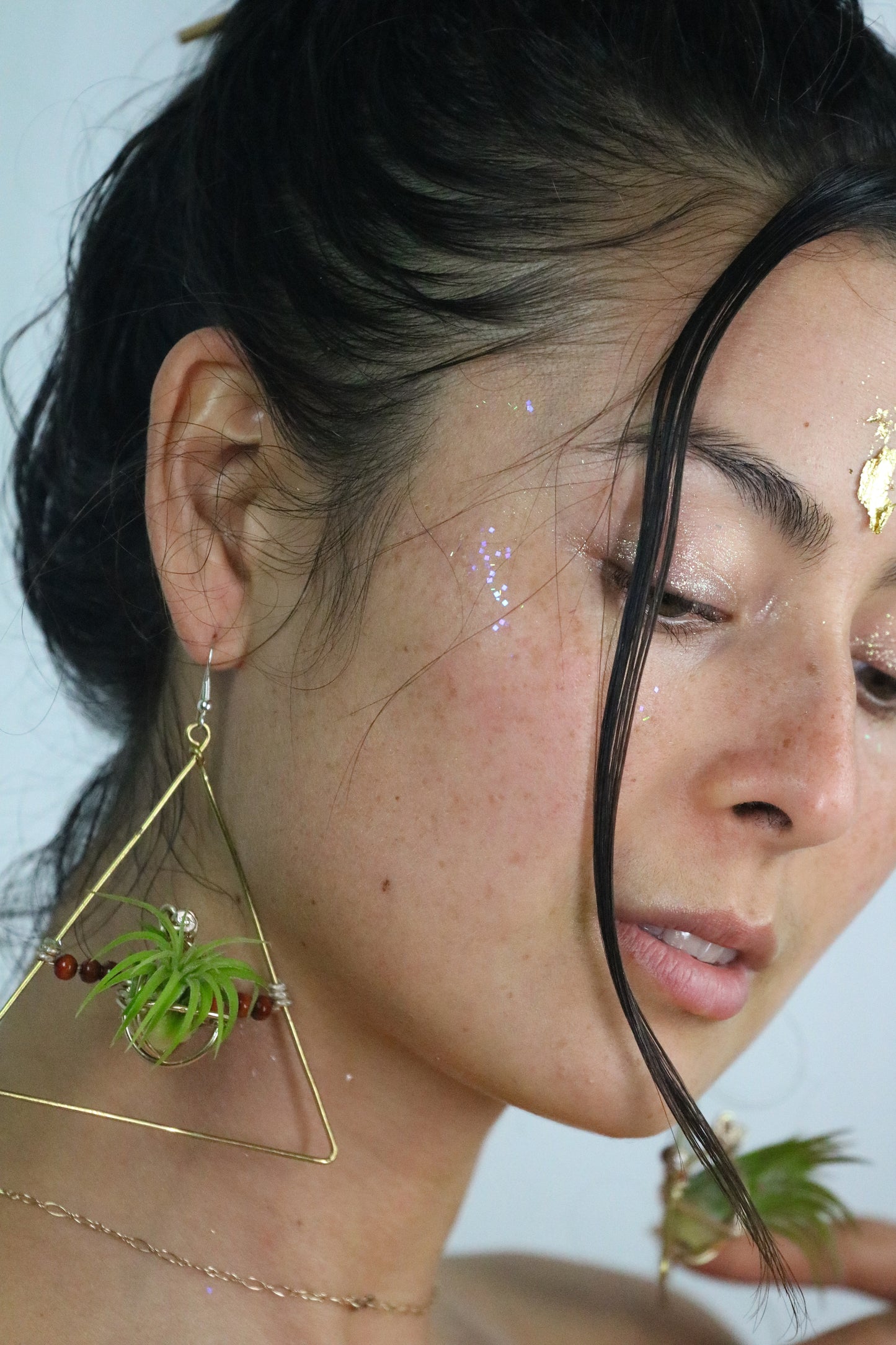 Triangular Air Plant Hoop Earrings ~ Geometric Tillandsia Earrings