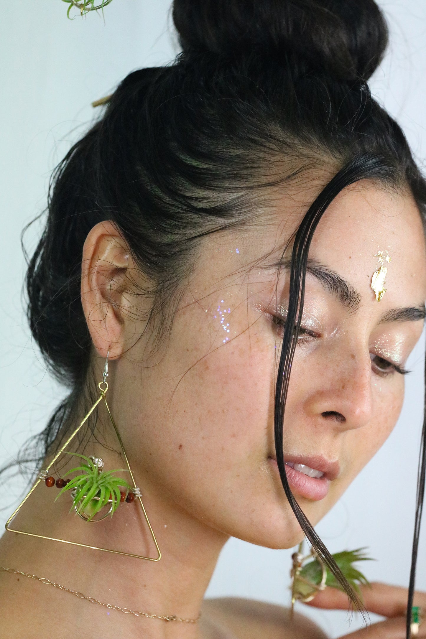 Triangular Air Plant Hoop Earrings ~ Geometric Tillandsia Earrings