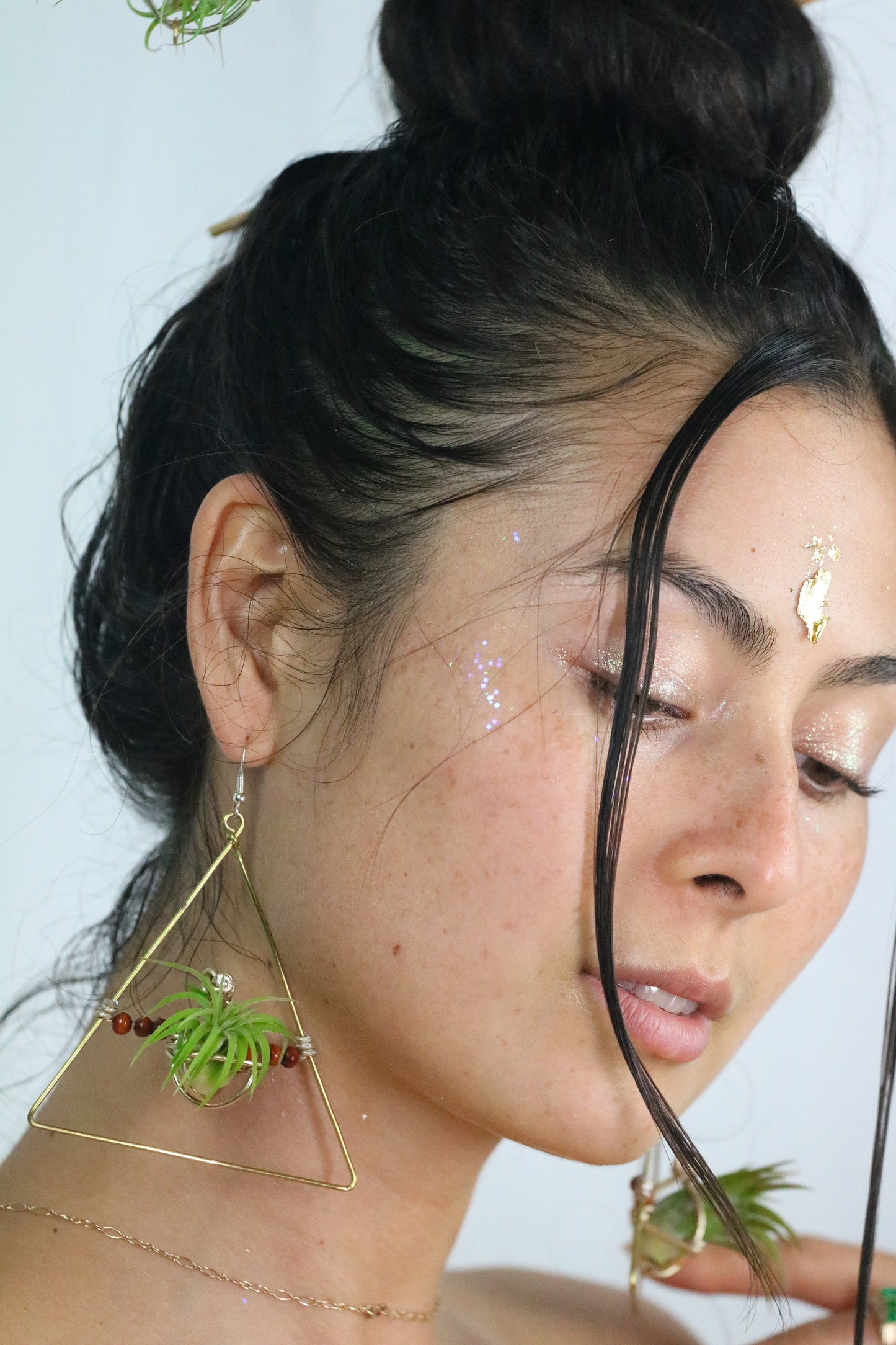 Triangular Air Plant Hoop Earrings ~ Geometric Tillandsia Earrings