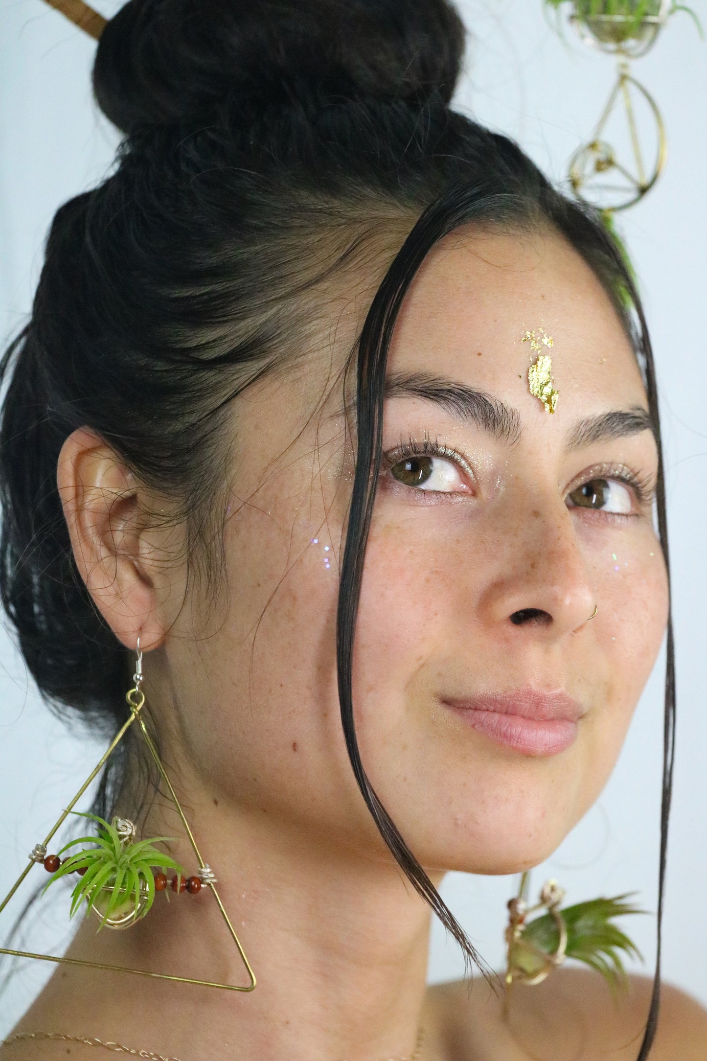 Triangular Air Plant Hoop Earrings ~ Geometric Tillandsia Earrings