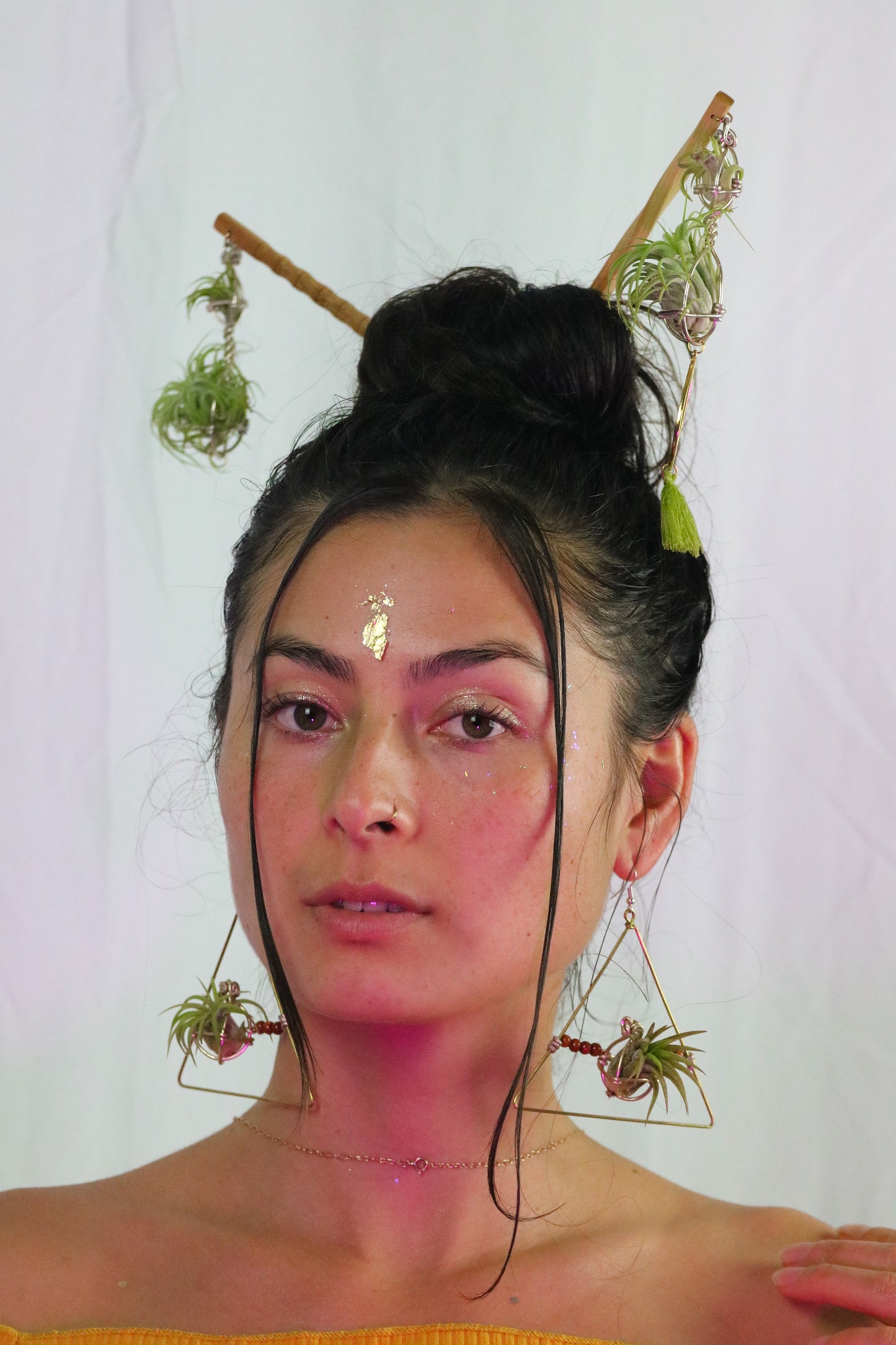 Triangular Air Plant Hoop Earrings ~ Geometric Tillandsia Earrings