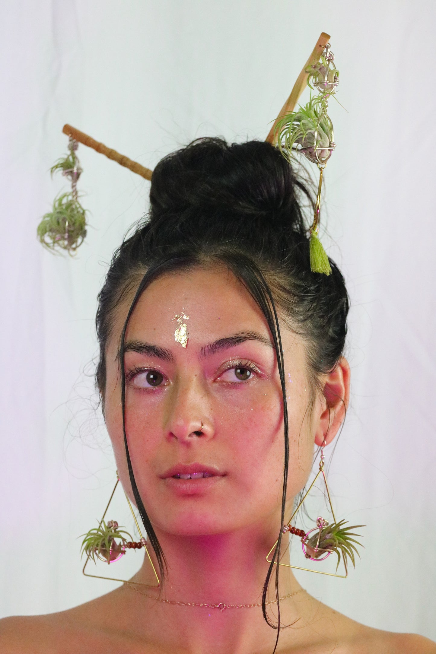 Triangular Air Plant Hoop Earrings ~ Geometric Tillandsia Earrings