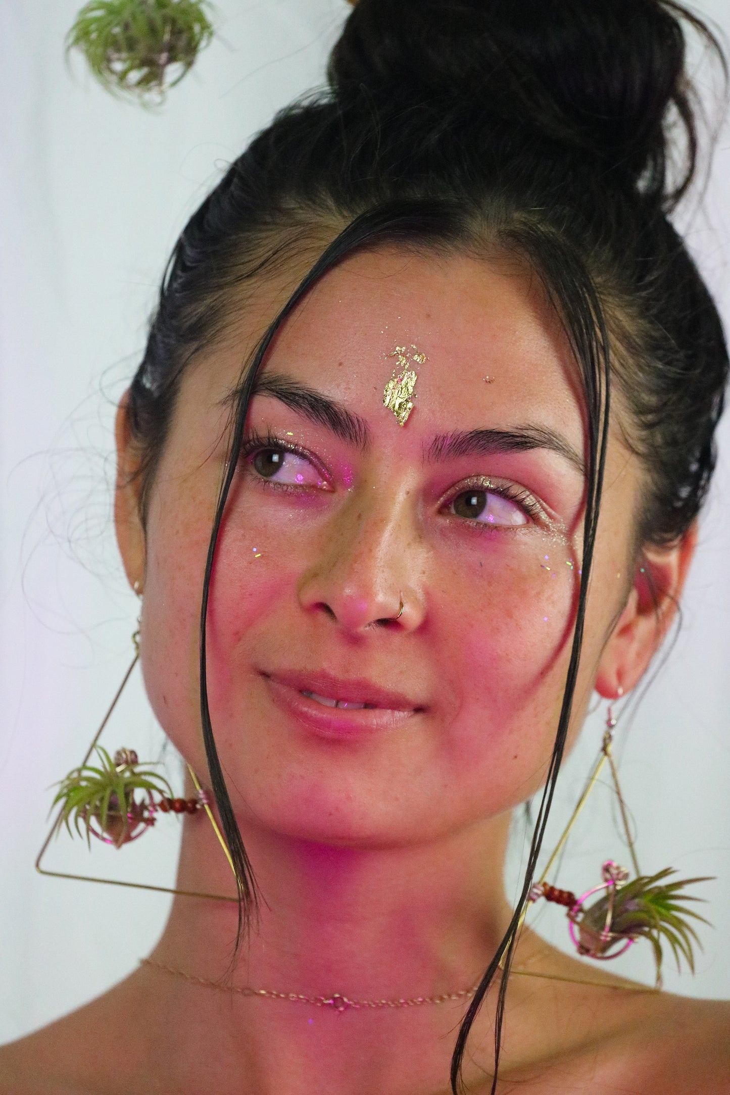 Triangular Air Plant Hoop Earrings ~ Geometric Tillandsia Earrings