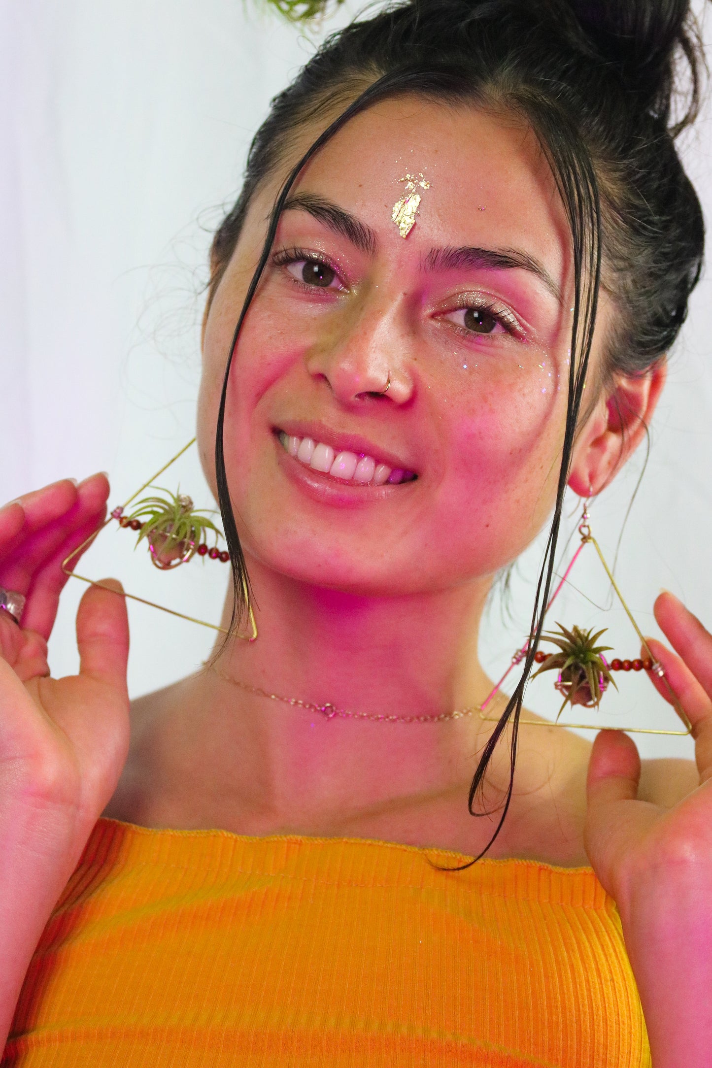 Triangular Air Plant Hoop Earrings ~ Geometric Tillandsia Earrings