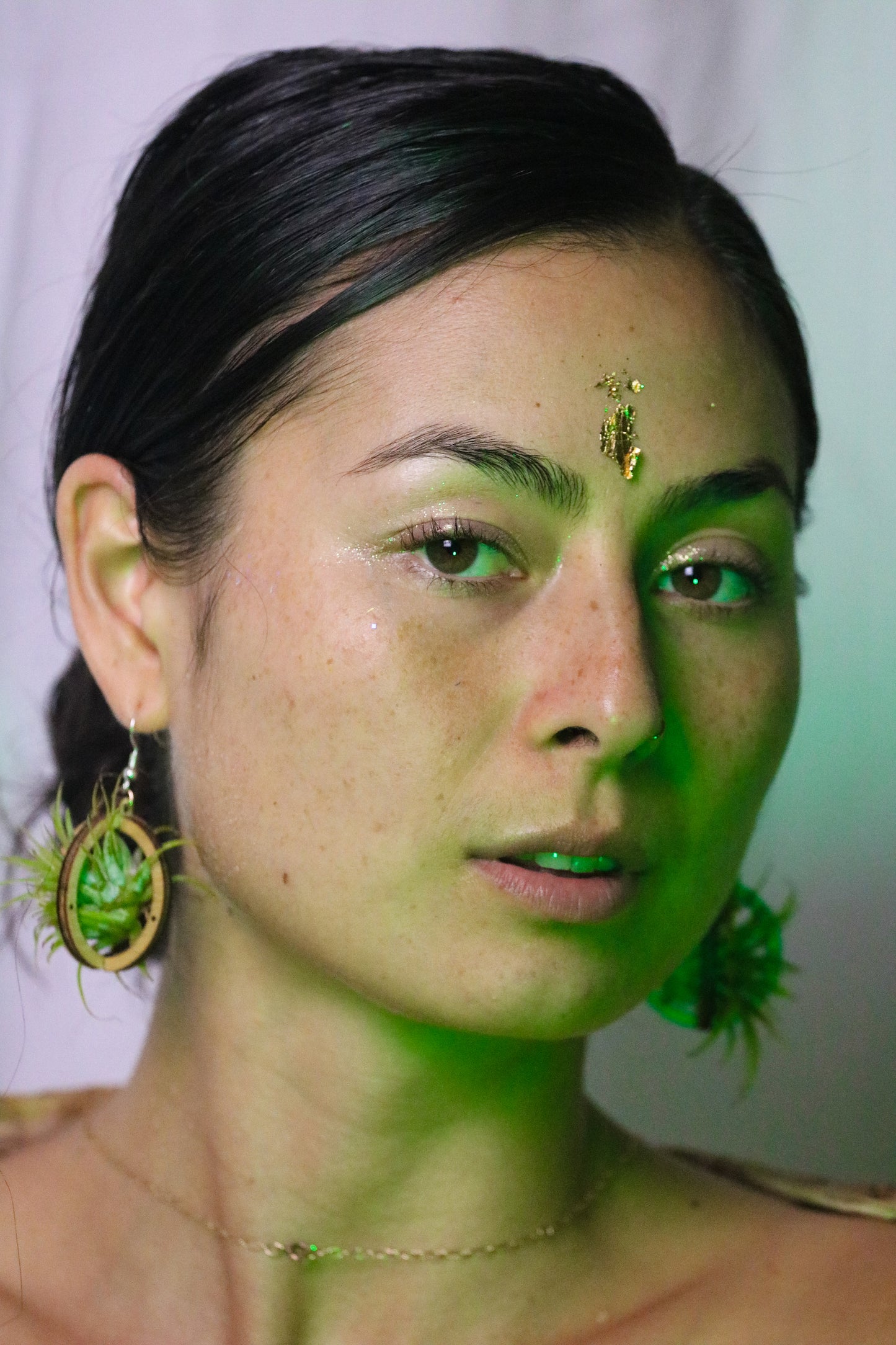 Lasercut Wooden Air Plant Orb Earrings ~ Japanese Tsugite Technique