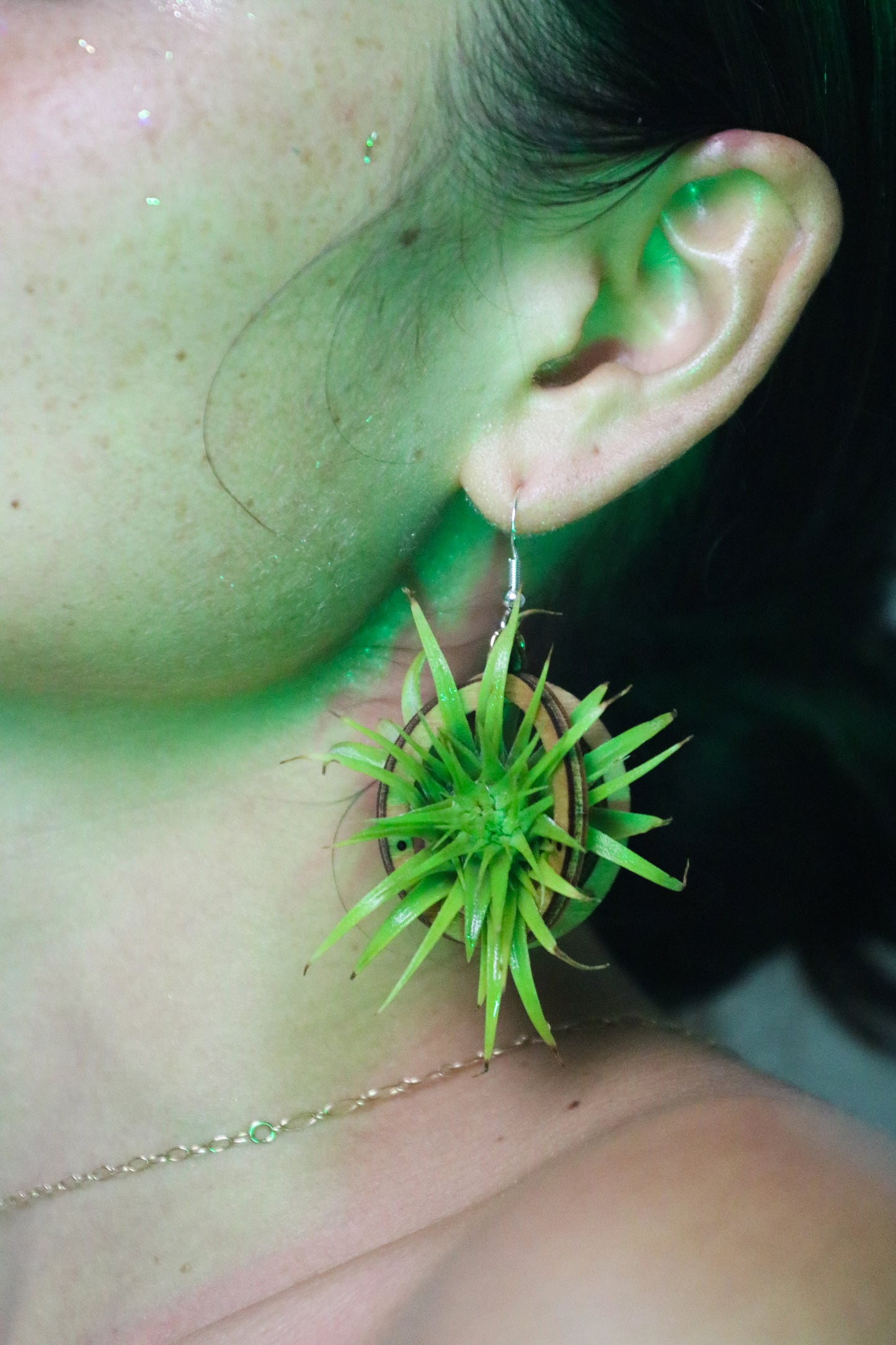 Lasercut Wooden Air Plant Orb Earrings ~ Japanese Tsugite Technique