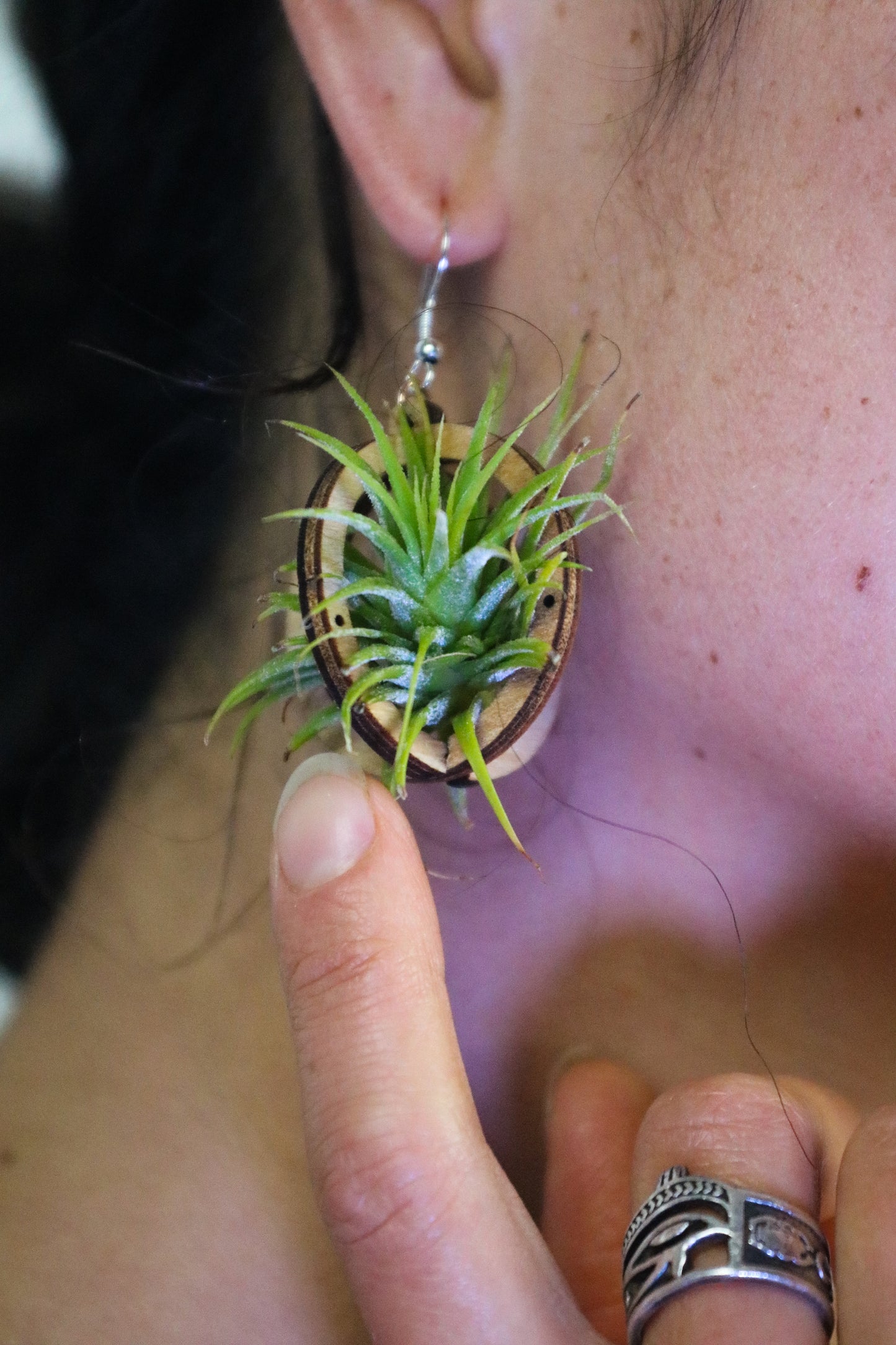 Lasercut Wooden Air Plant Orb Earrings ~ Japanese Tsugite Technique