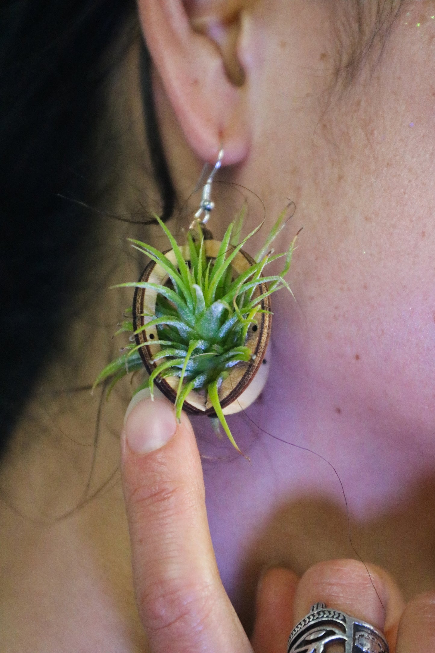 Lasercut Wooden Air Plant Orb Earrings ~ Japanese Tsugite Technique