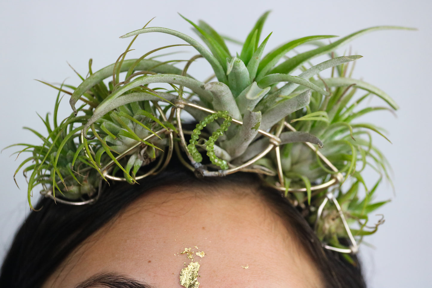Air Plant Orb Goddess Crown ~ Living Plant Wreath Tiara