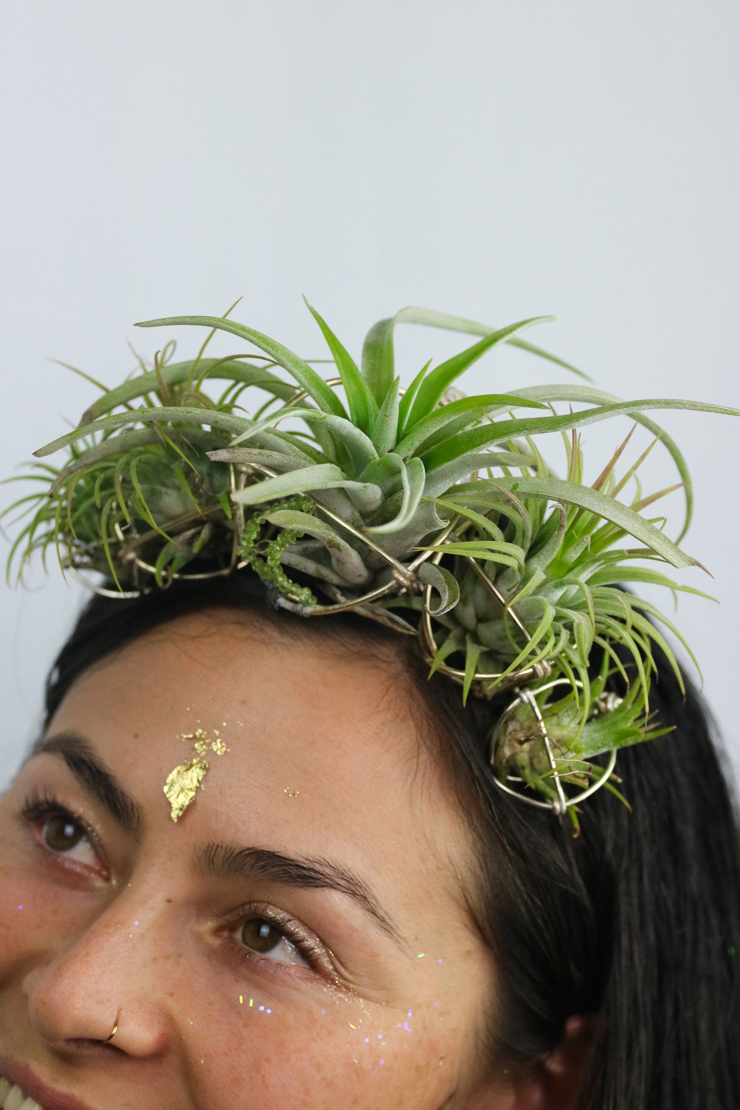 Air Plant Orb Goddess Crown ~ Living Plant Wreath Tiara