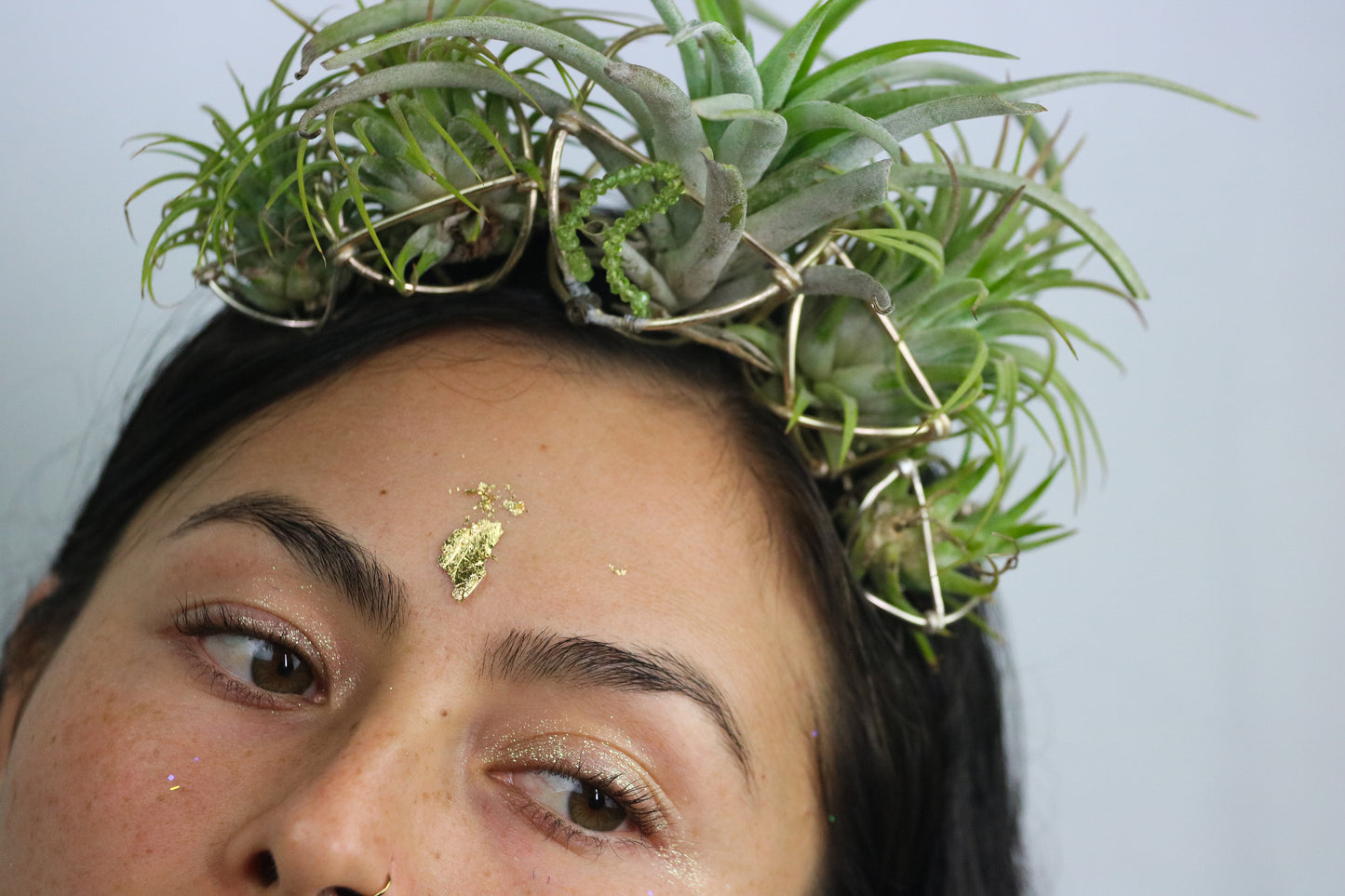 Air Plant Orb Goddess Crown ~ Living Plant Wreath Tiara