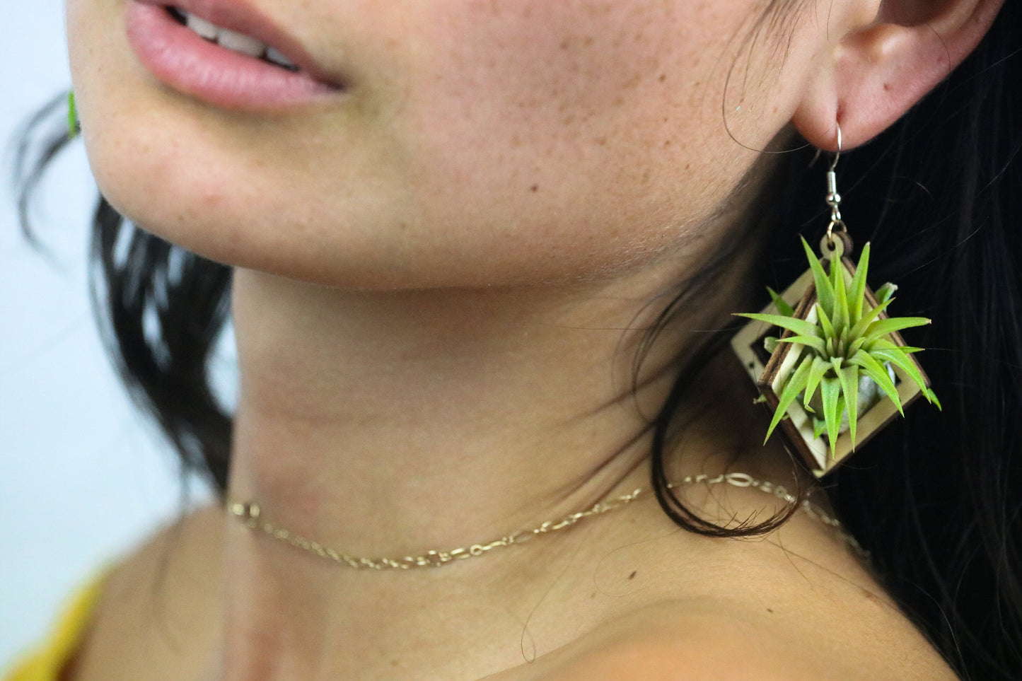 Lasercut Wooden Octahedron Air Plant Earrings ~ Japanese Tsugite Technique