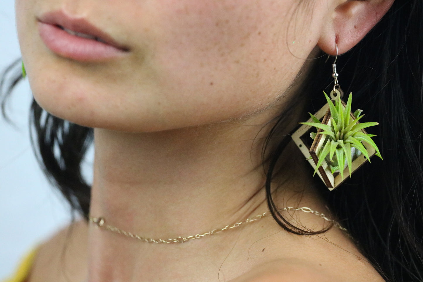 Lasercut Wooden Octahedron Air Plant Earrings ~ Japanese Tsugite Technique