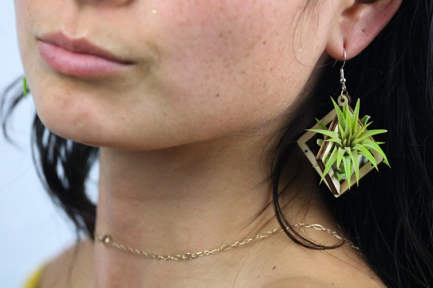 Lasercut Wooden Octahedron Air Plant Earrings ~ Japanese Tsugite Technique