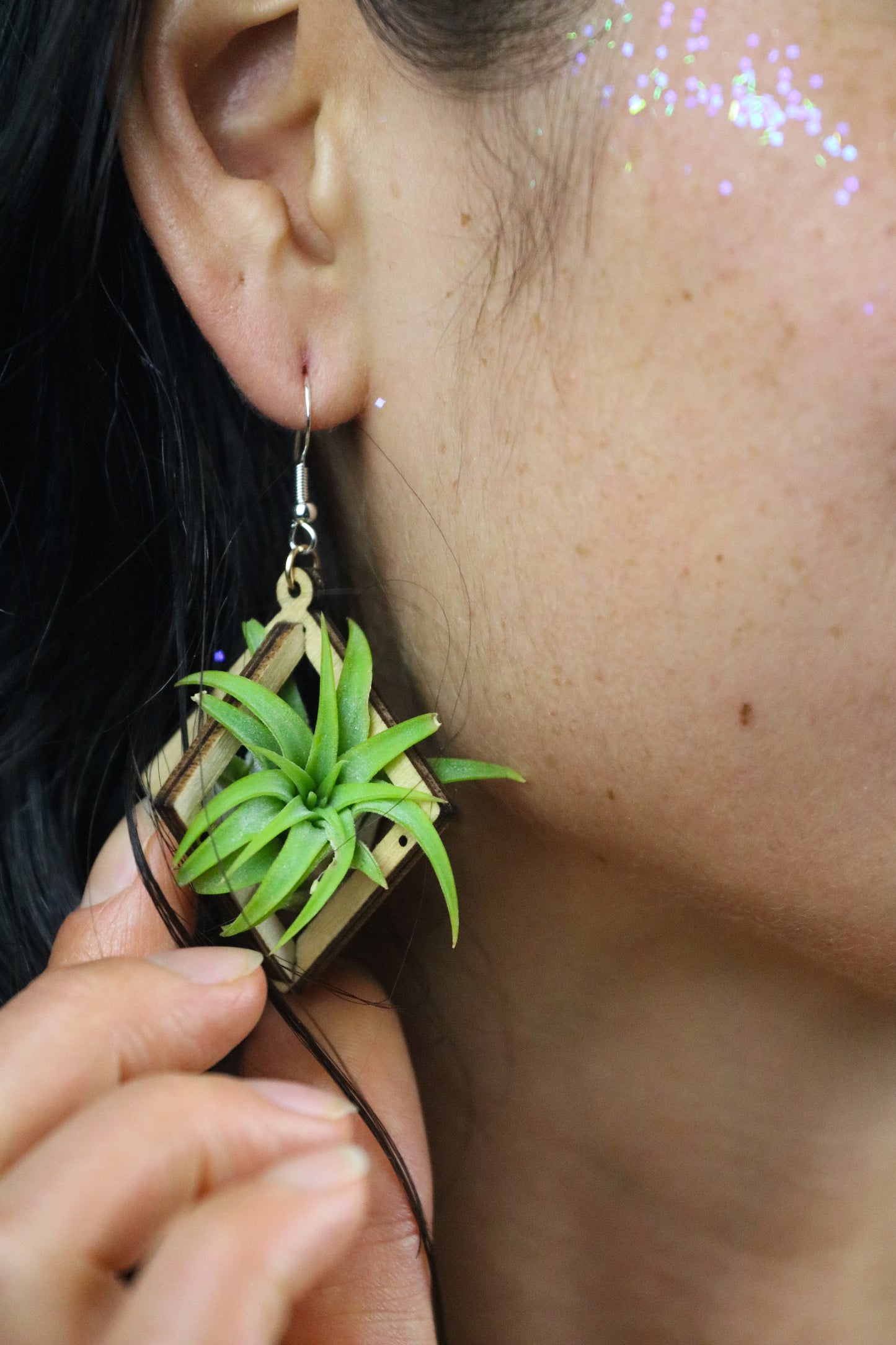 Lasercut Wooden Octahedron Air Plant Earrings ~ Japanese Tsugite Technique