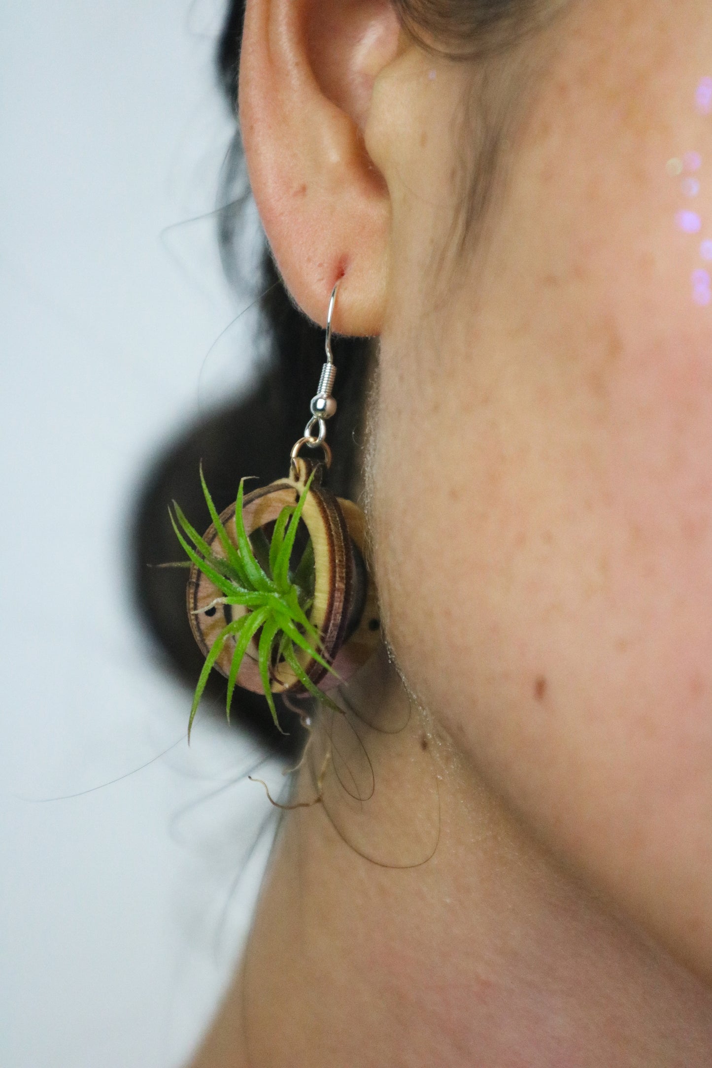 Lasercut Wooden Air Plant Orb Earrings ~ Japanese Tsugite Technique